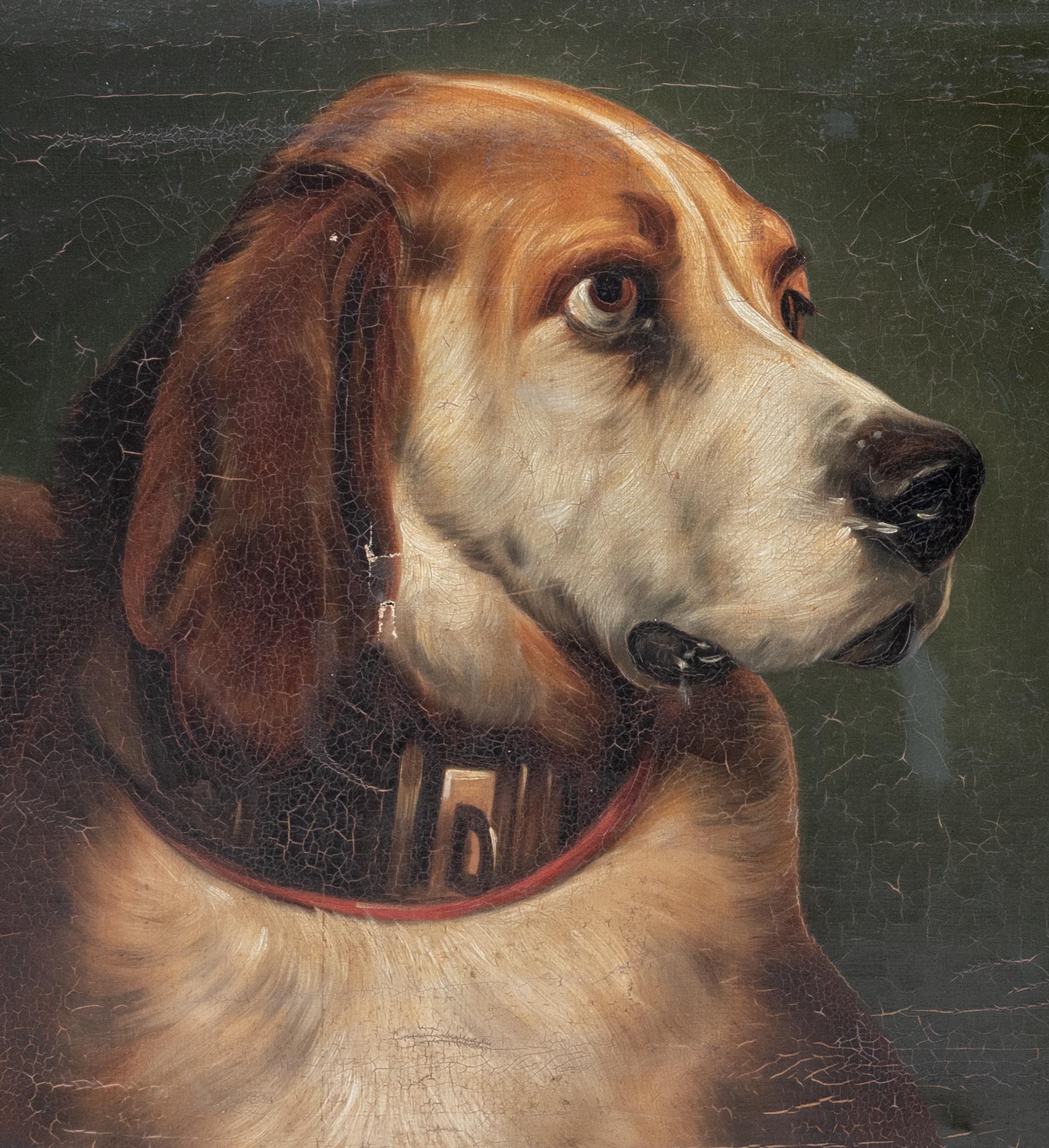 Portrait of Odin, A Bloodhound Dog, 19th Century    7