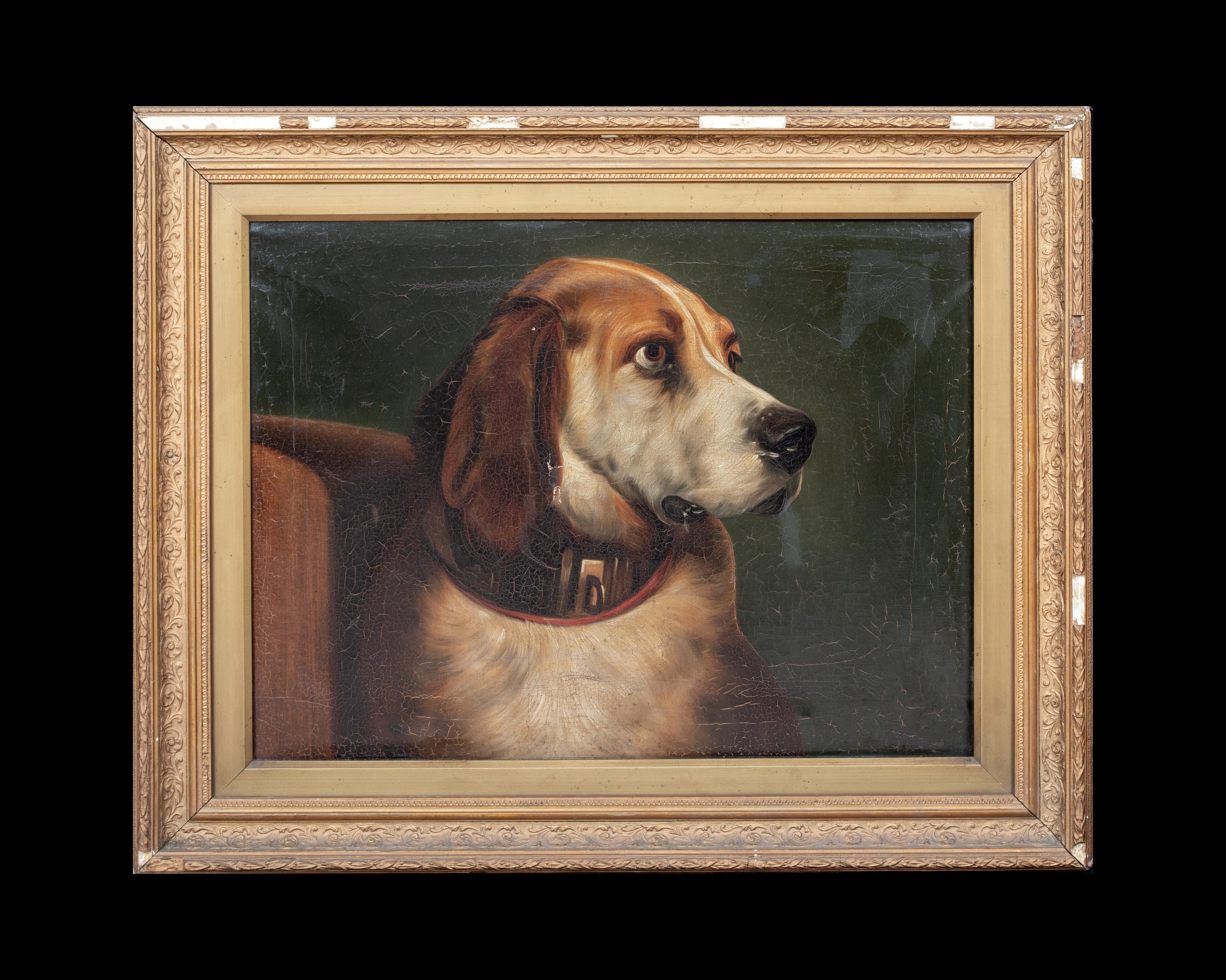 Portrait of Odin, A Bloodhound Dog, 19th Century    - Painting by Unknown
