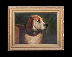 Portrait of Odin, A Bloodhound Dog, 19th Century
