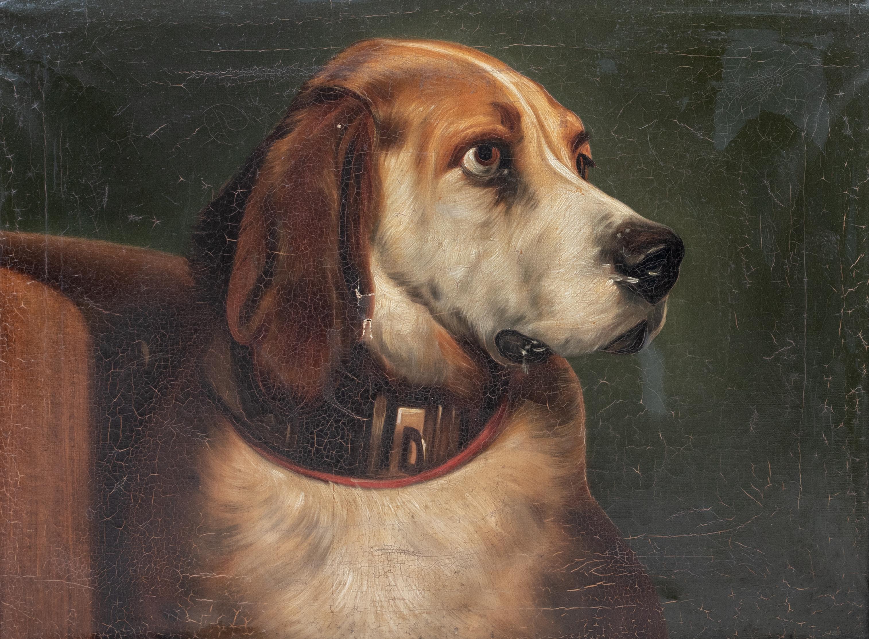 Portrait of Odin, A Bloodhound, 17th Century 

after Sir Edwin Henry Landseer (1802-1873)

Large 19th Century portrait of the head of a Bloodhound 