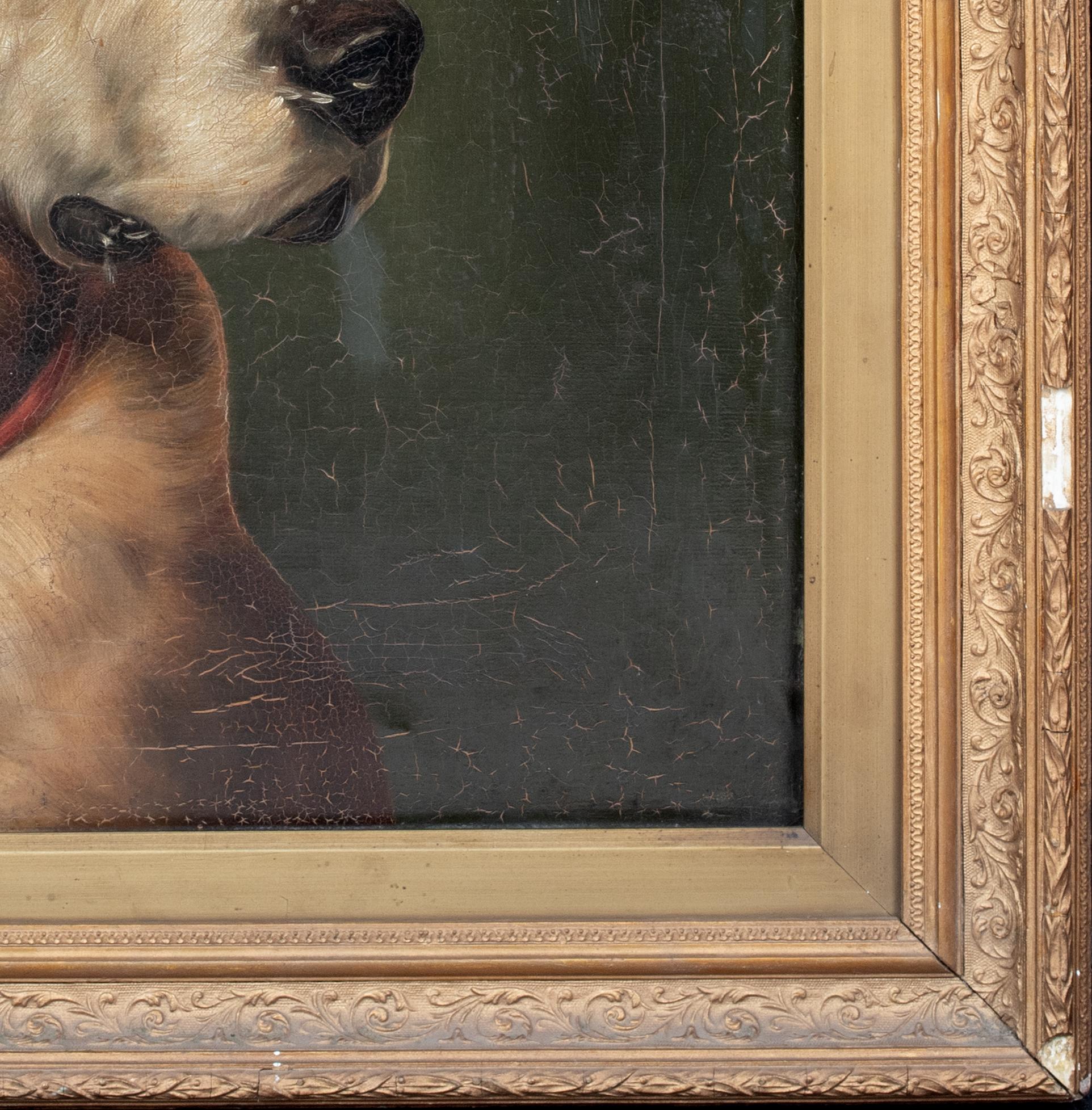 Portrait of Odin, A Bloodhound Dog, 19th Century    1