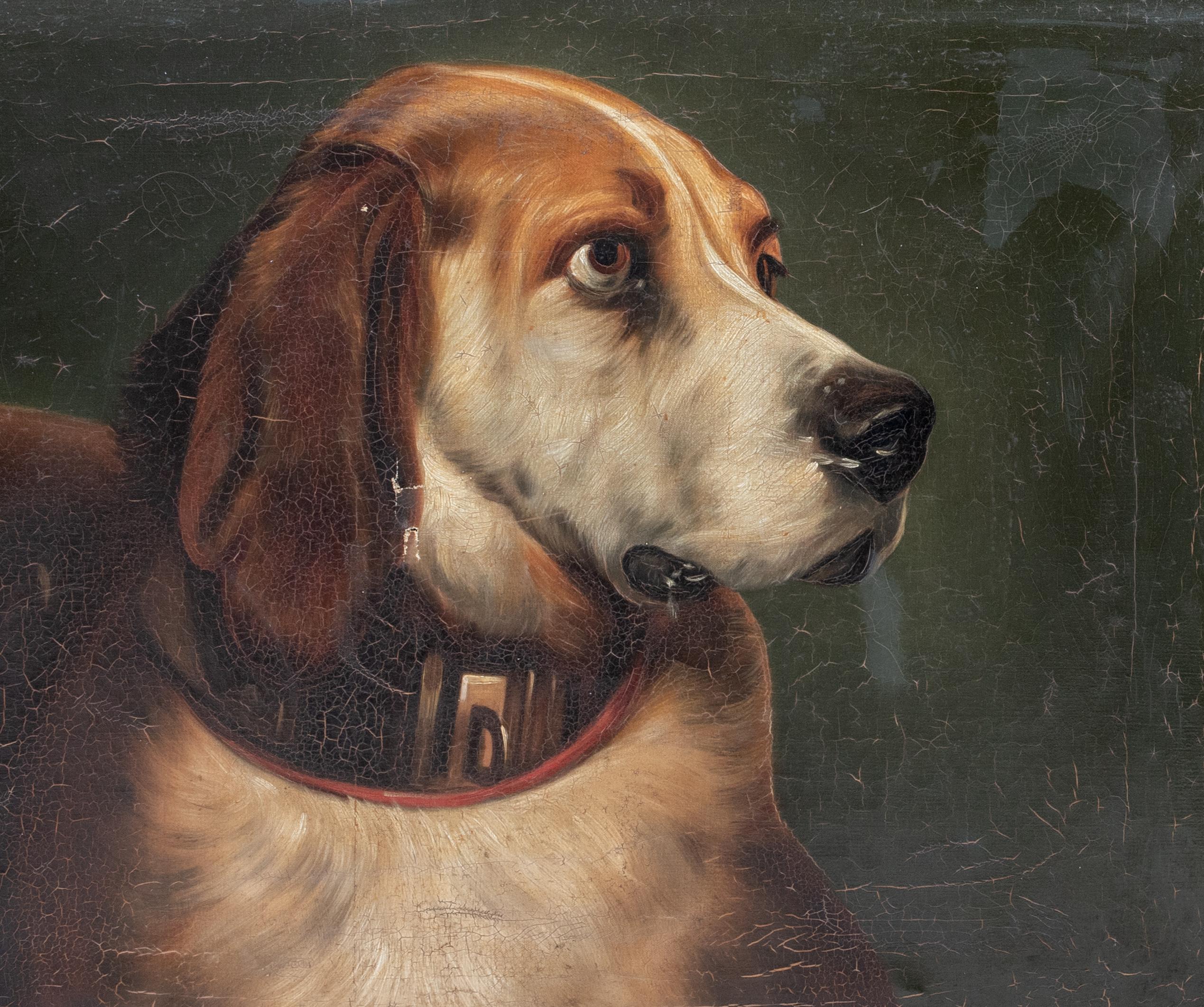 Portrait of Odin, A Bloodhound Dog, 19th Century    2