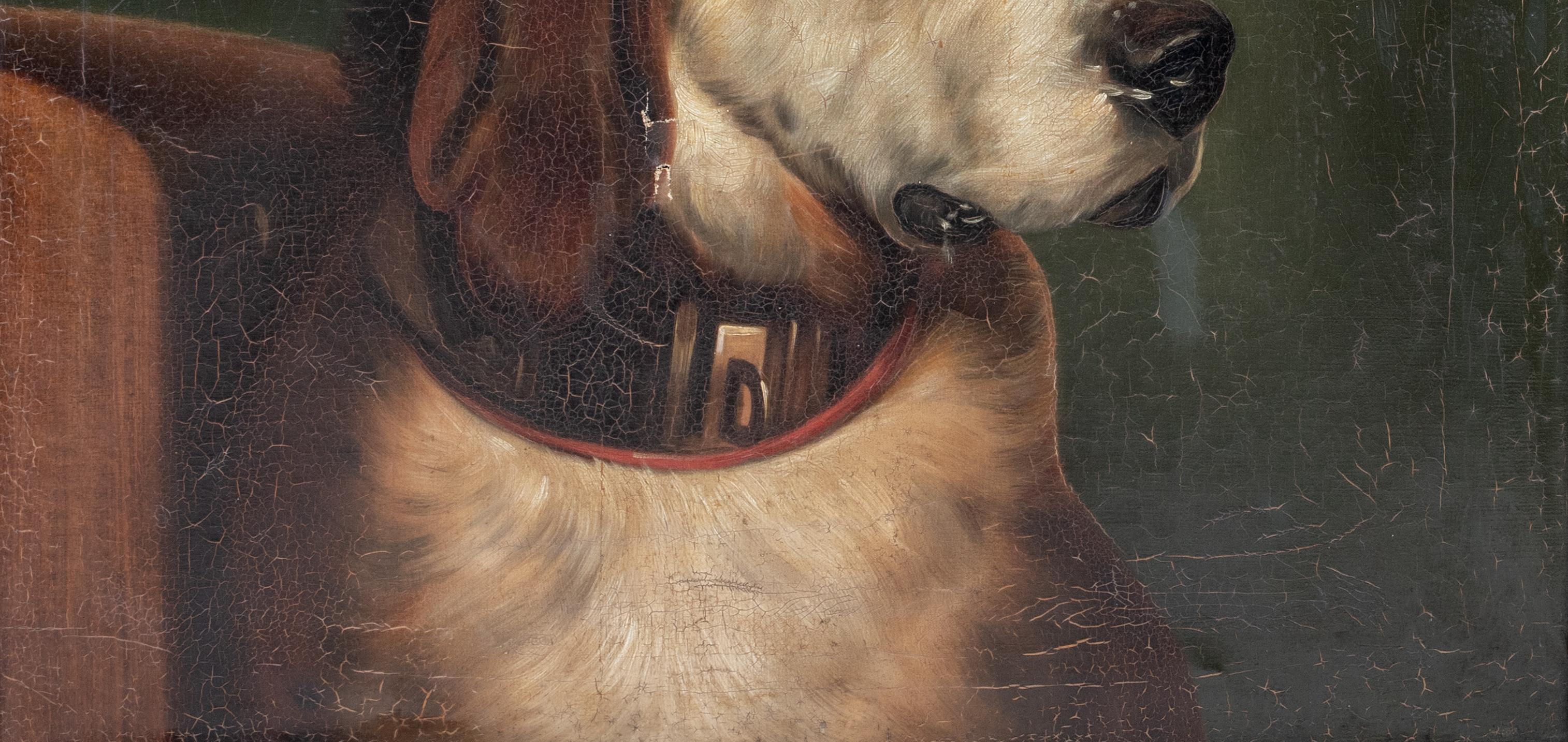 Portrait of Odin, A Bloodhound Dog, 19th Century    3