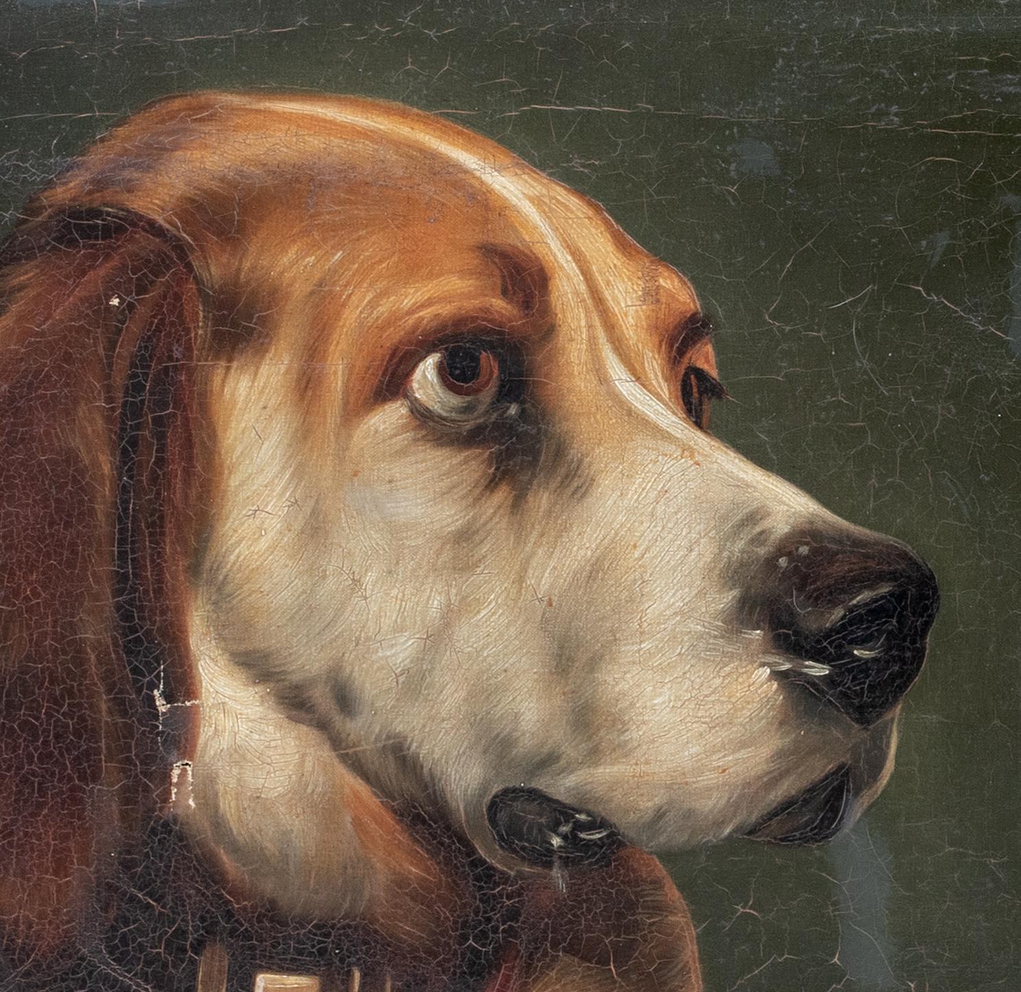 Portrait of Odin, A Bloodhound Dog, 19th Century    4