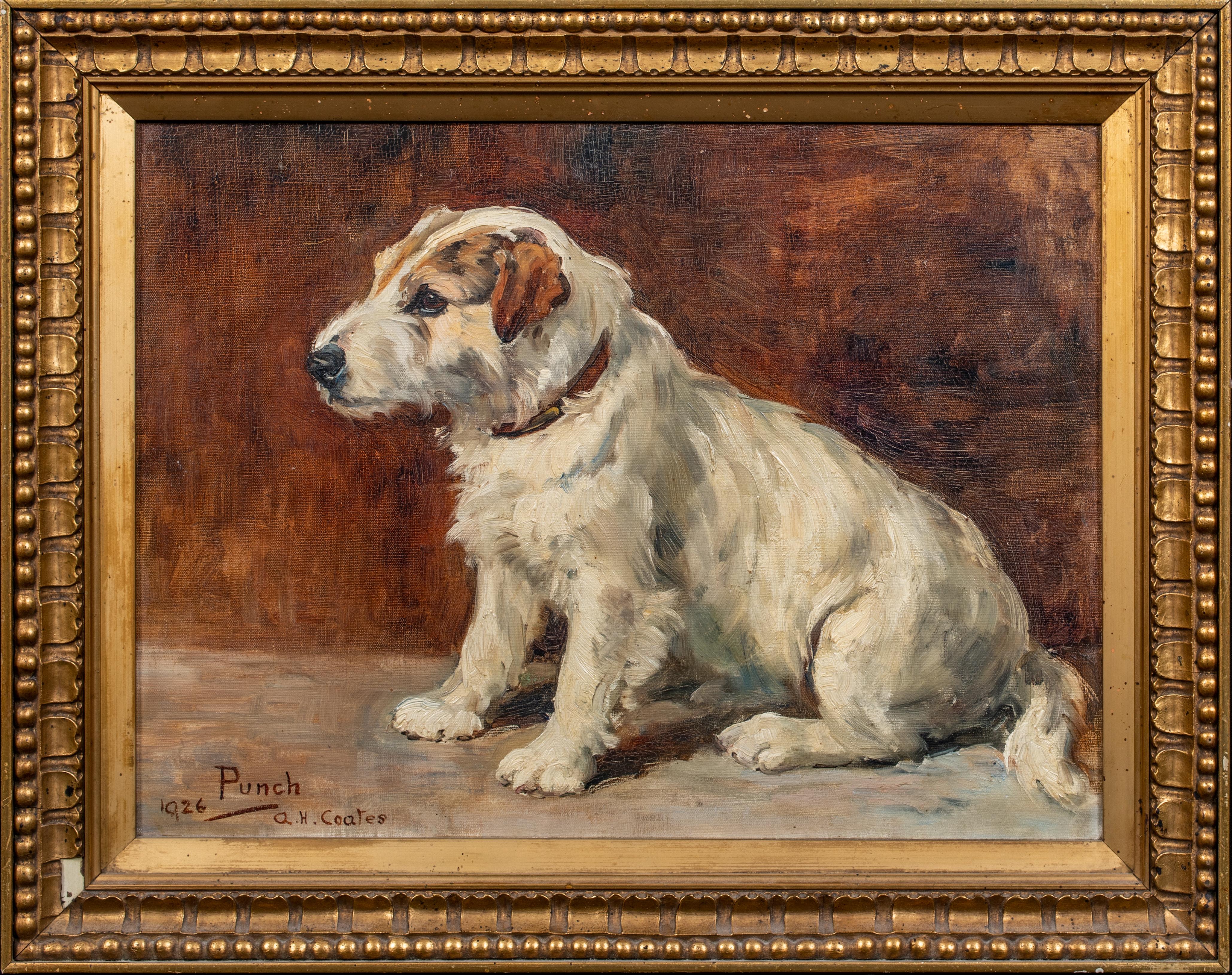 Porträt von Punch, einem Terrierhund, datiert 1926  AGNES HILDA COATES, COATES – Painting von Unknown