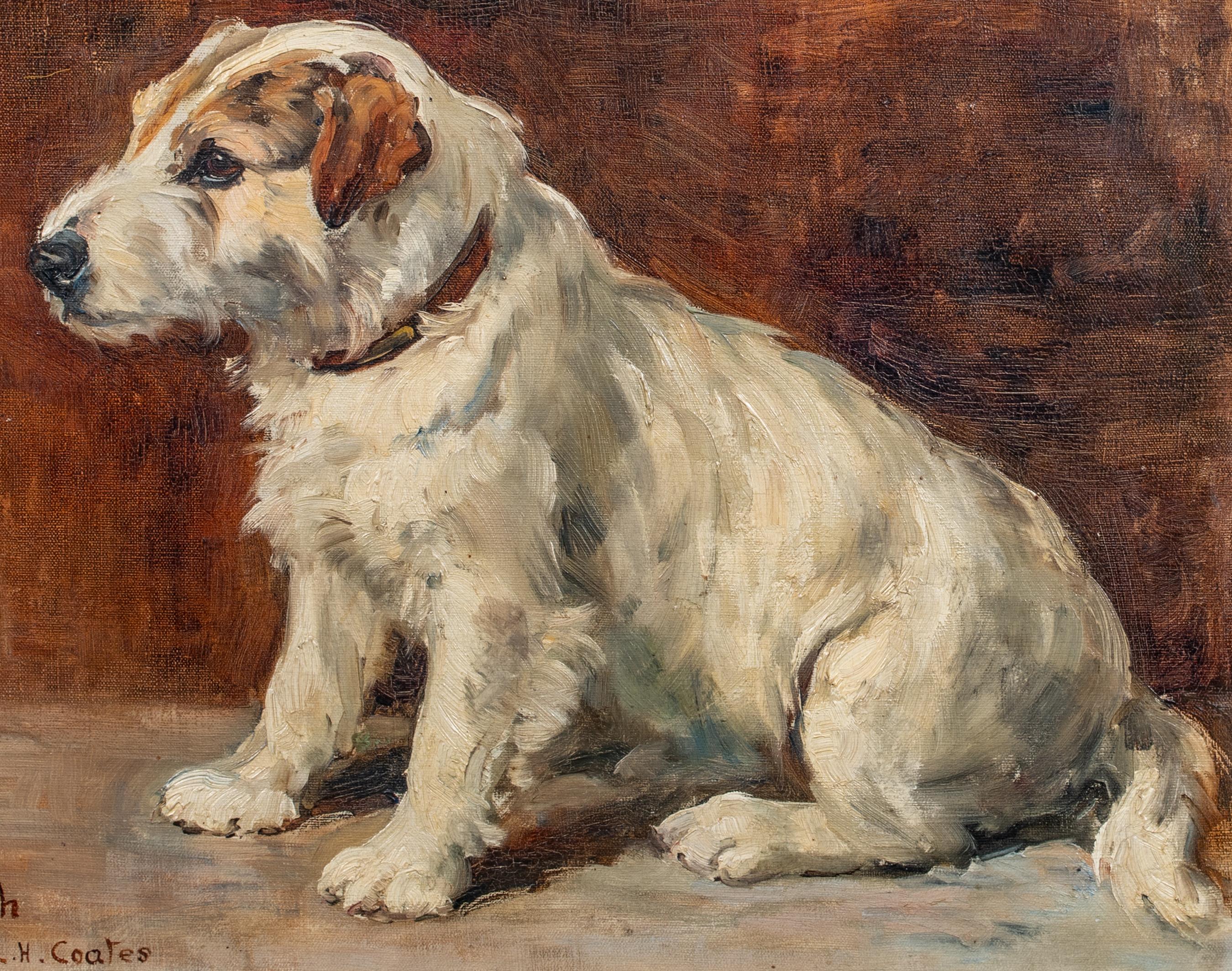 Porträt von Punch, einem Terrierhund, datiert 1926  AGNES HILDA COATES, COATES 2