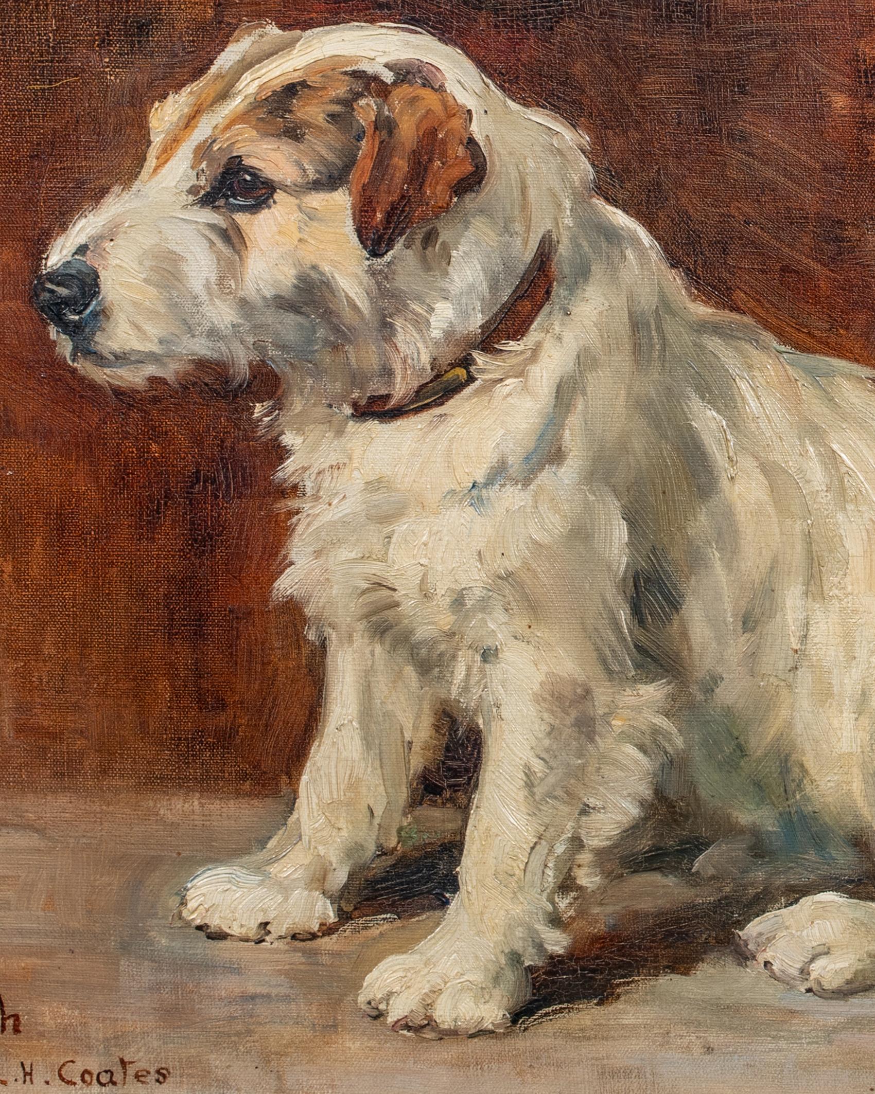 Porträt von Punch, einem Terrierhund, datiert 1926  AGNES HILDA COATES, COATES 3