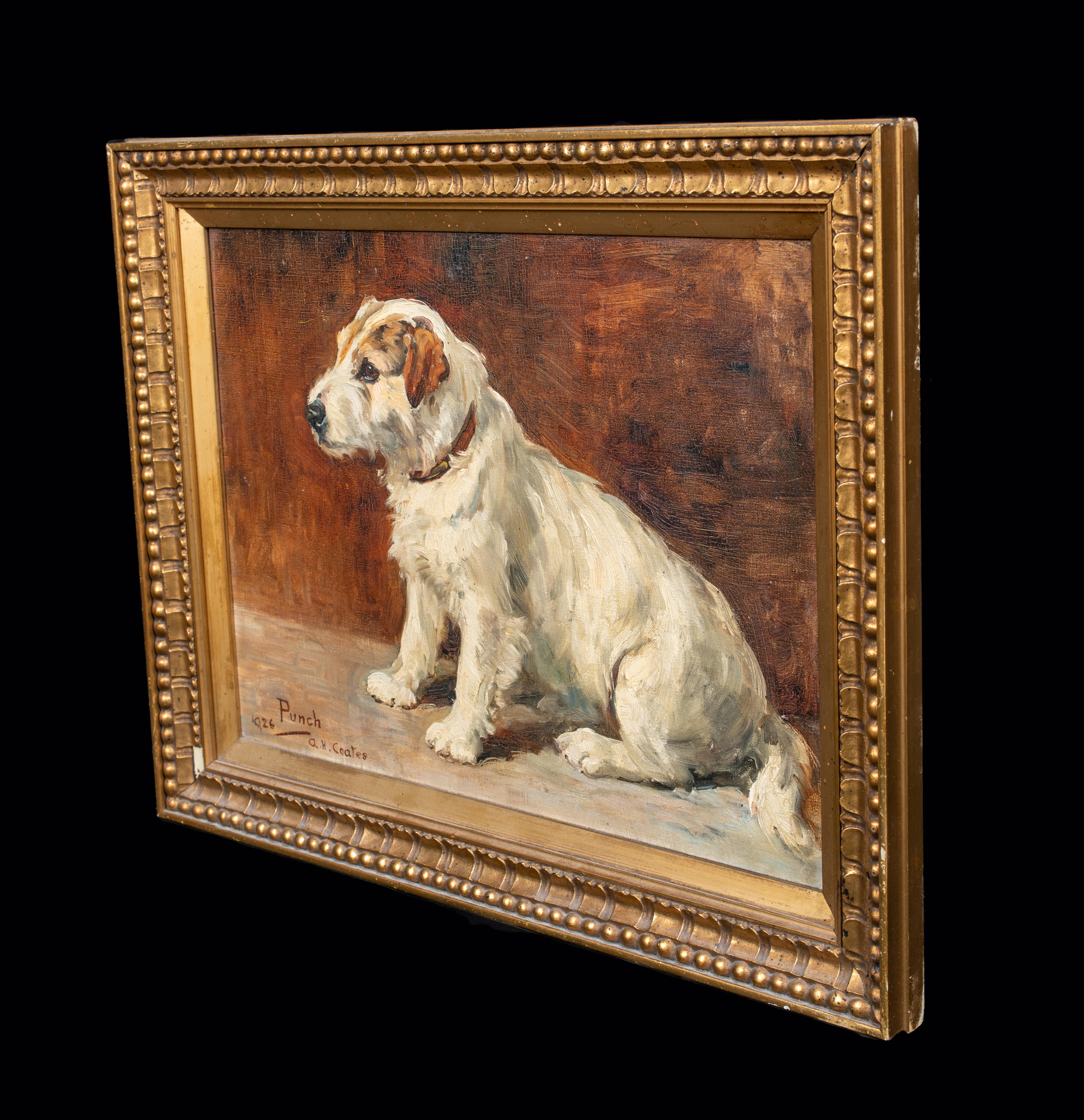 Porträt von Punch, einem Terrierhund, datiert 1926  AGNES HILDA COATES, COATES 5