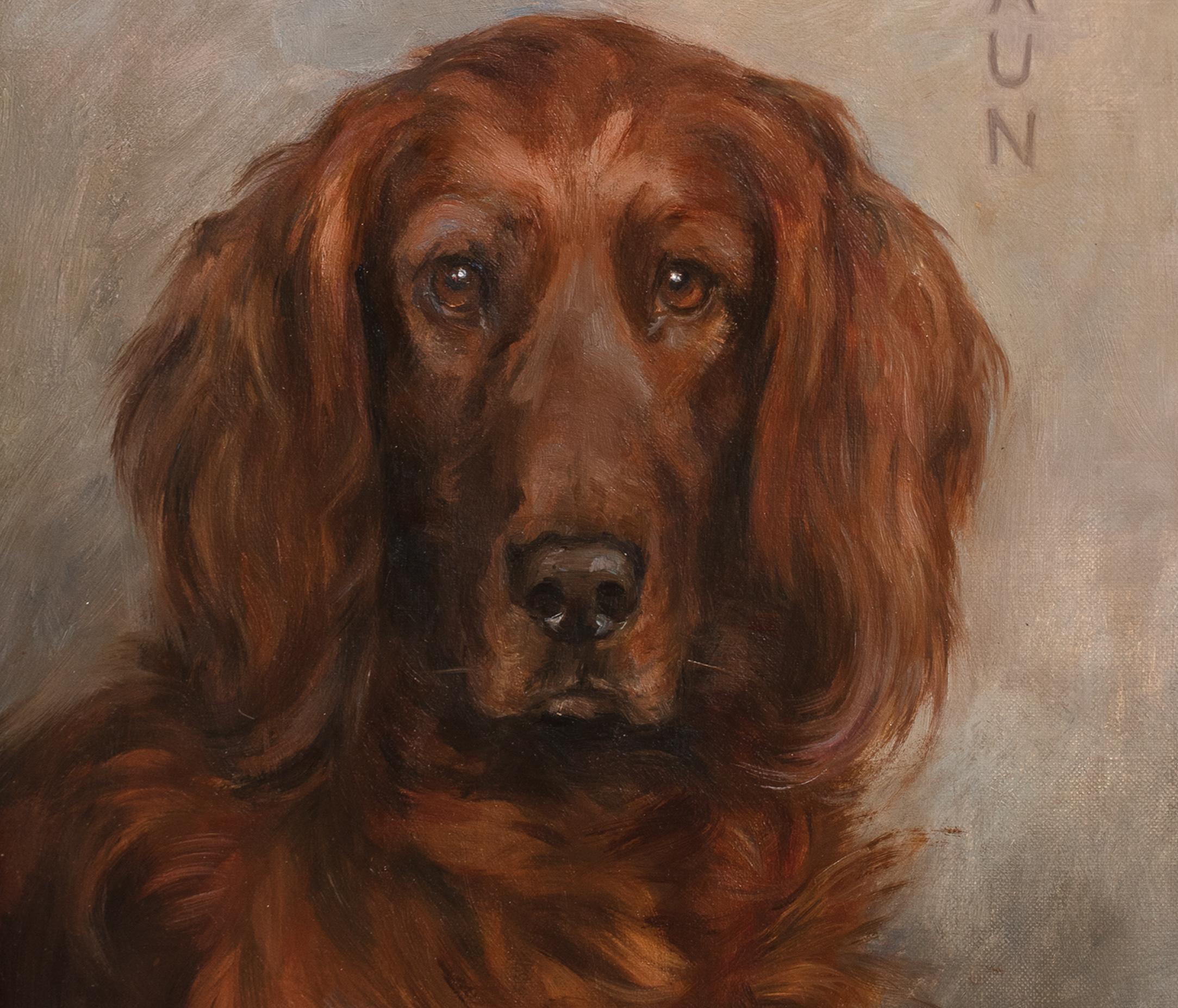 Porträt von Shaun, einem irischen Setter, datiert 1929  von FLORENCE JAY (1876-1935) im Angebot 6