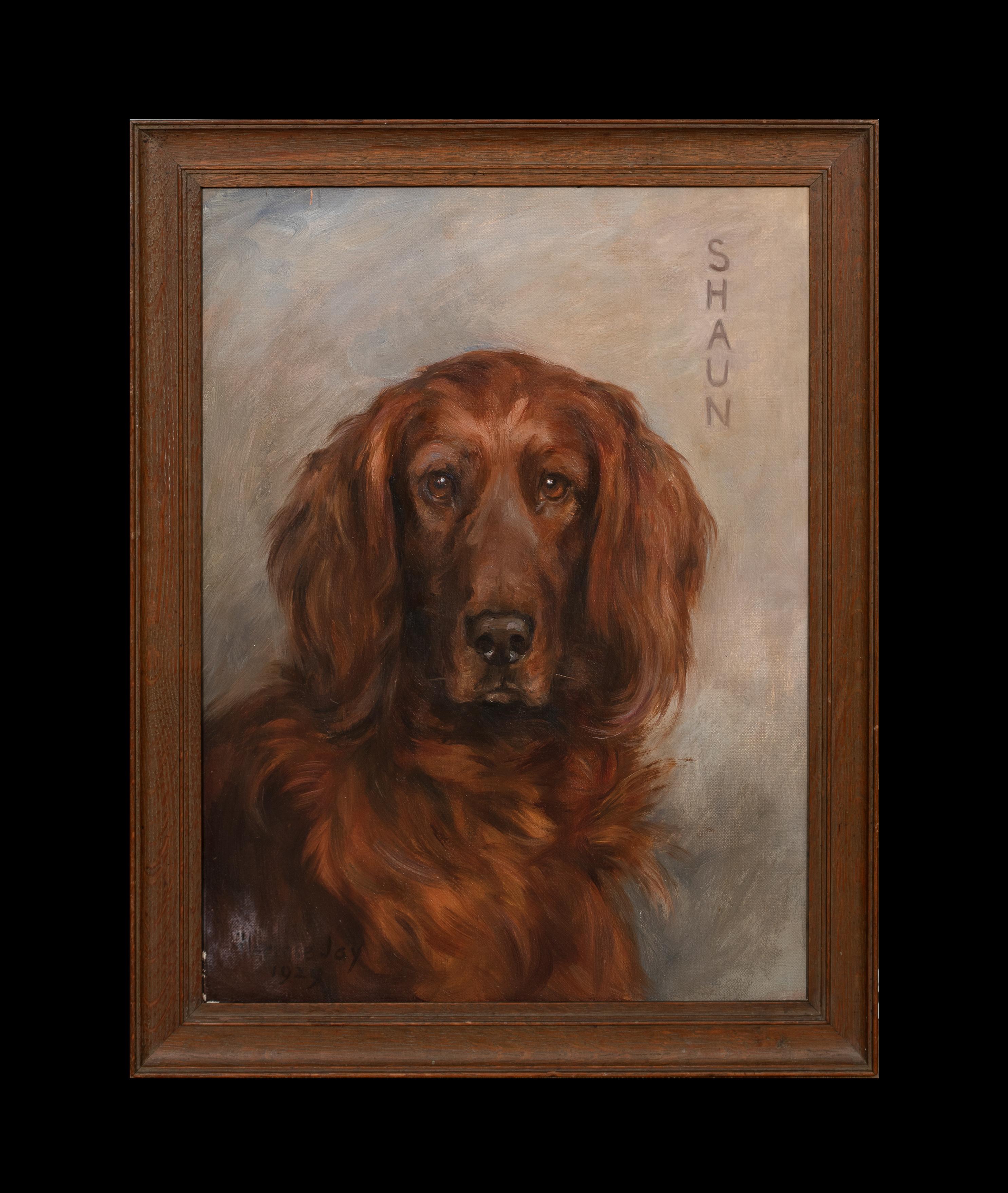 Porträt von Shaun, einem irischen Setter, datiert 1929  von FLORENCE JAY (1876-1935) – Painting von Unknown