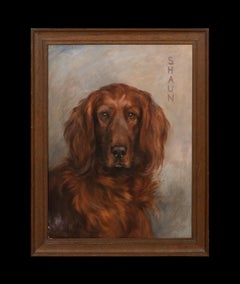 Portrait of Shaun, An Irish Setter, dated 1929  by FLORENCE JAY (1876-1935)