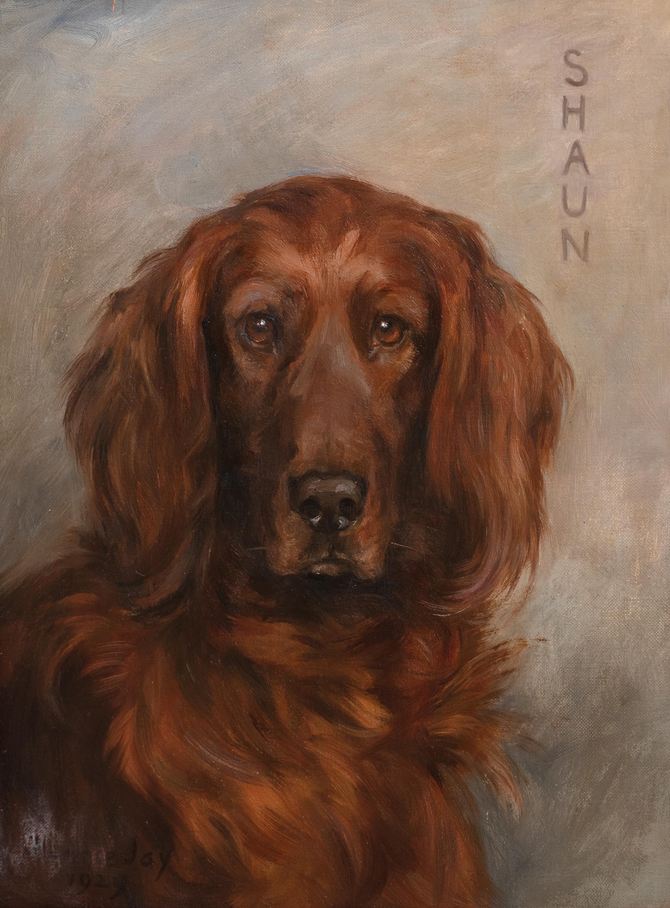 Porträt von Shaun, einem irischen Setter, datiert 1929  von FLORENCE JAY (1876-1935) (Braun), Animal Painting, von Unknown