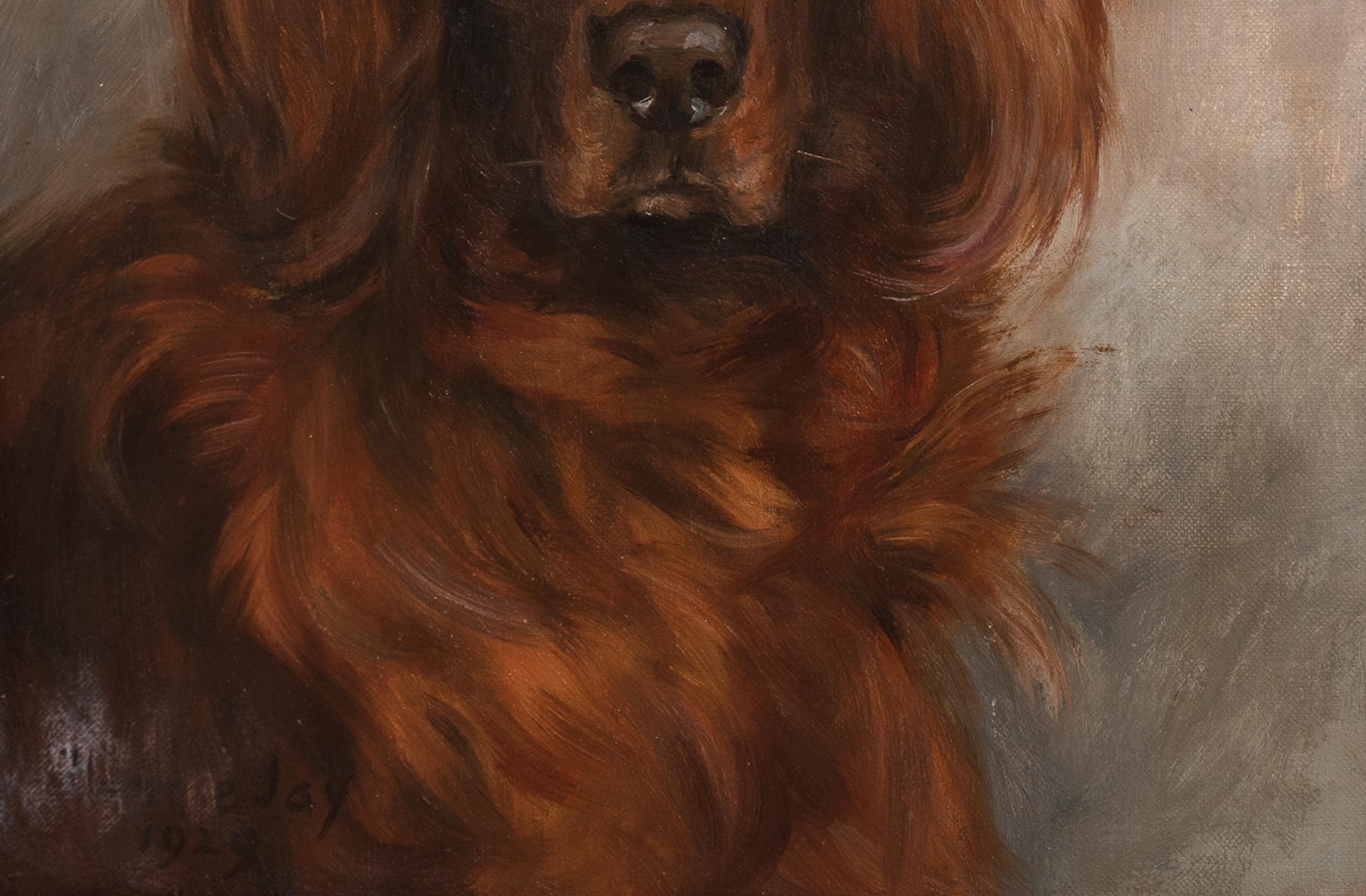Porträt von Shaun, einem irischen Setter, datiert 1929  von FLORENCE JAY (1876-1935) im Angebot 1