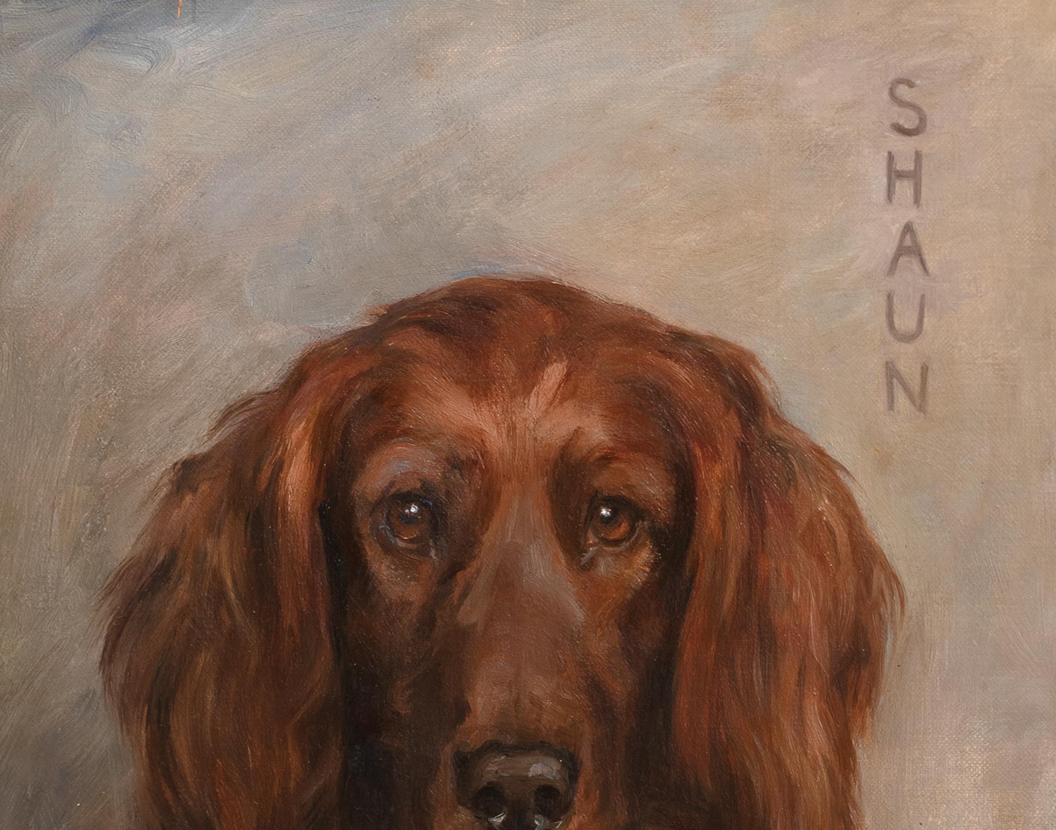 Porträt von Shaun, einem irischen Setter, datiert 1929  von FLORENCE JAY (1876-1935) im Angebot 2