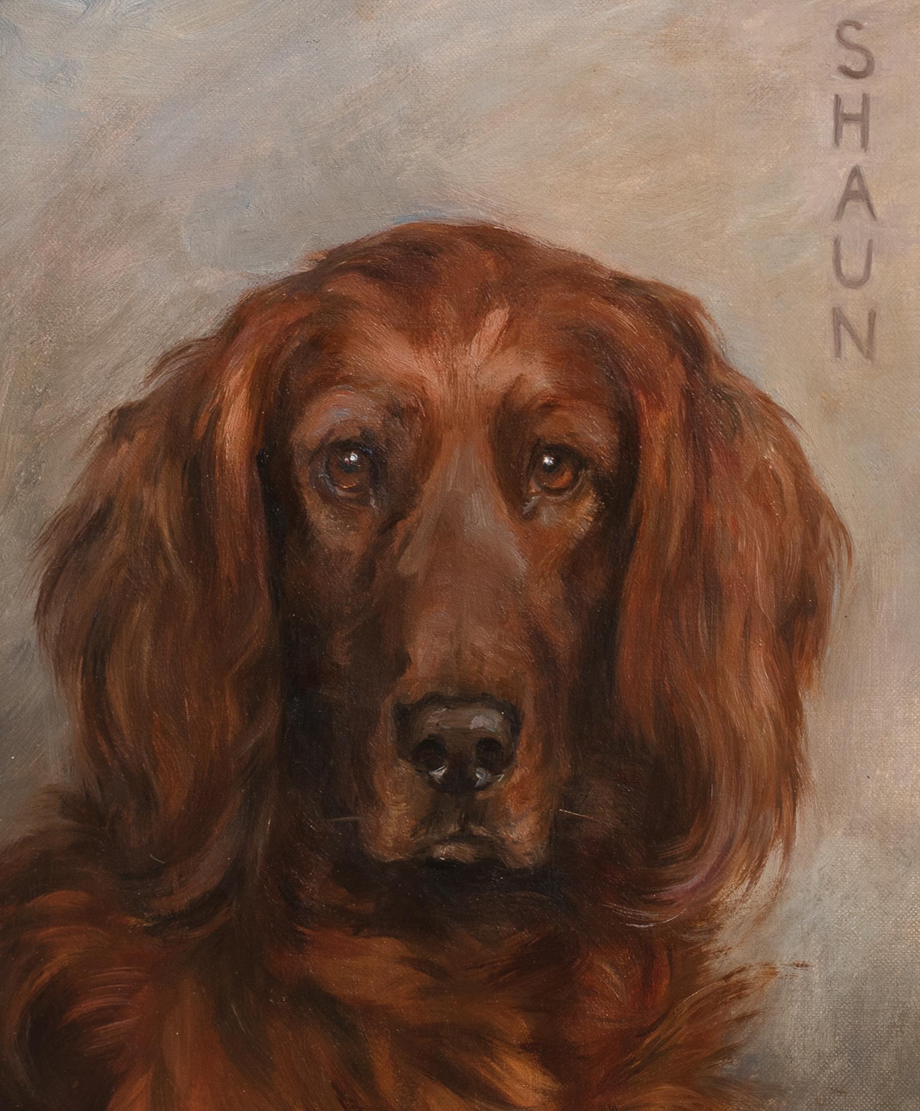 Porträt von Shaun, einem irischen Setter, datiert 1929  von FLORENCE JAY (1876-1935) im Angebot 3