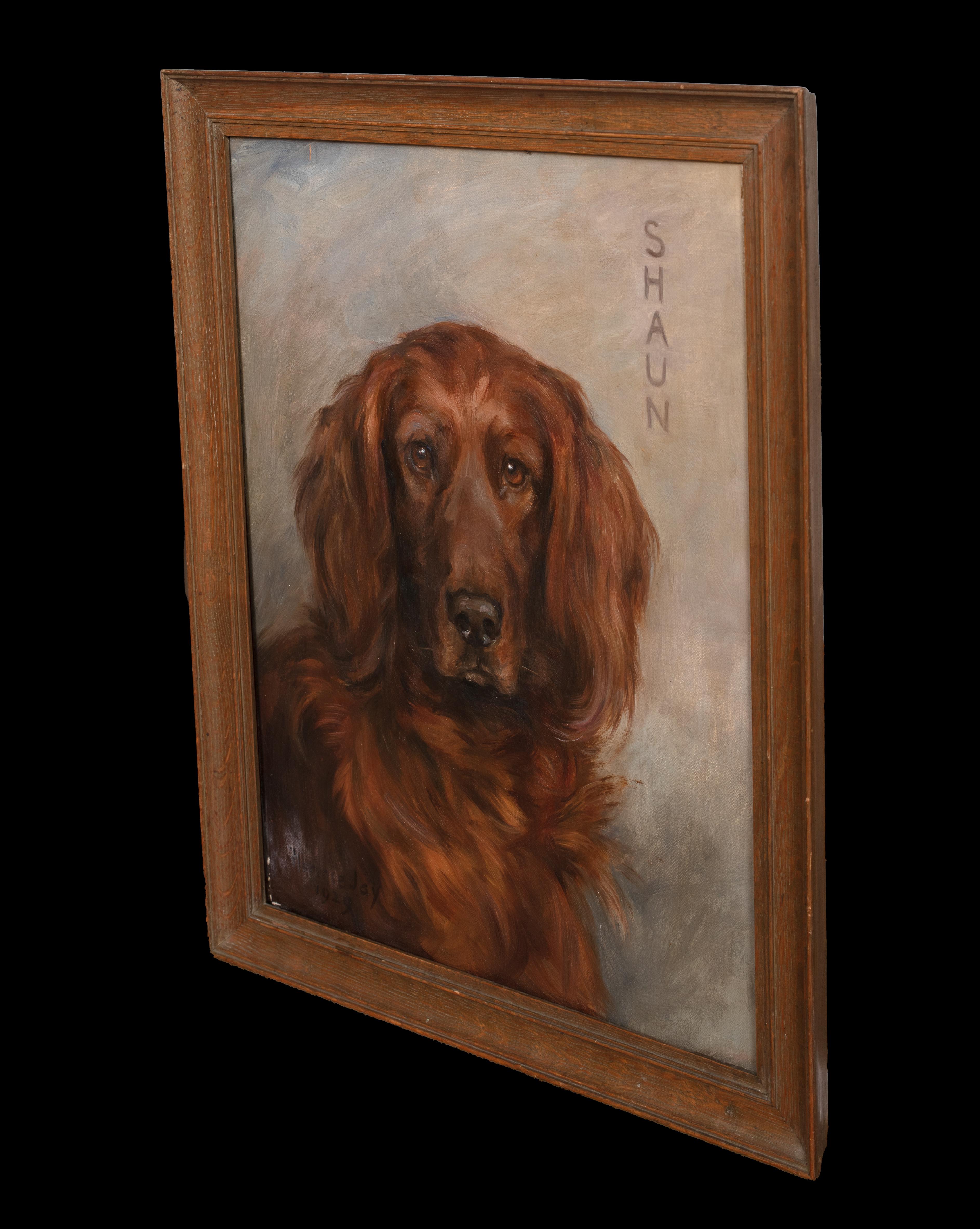 Porträt von Shaun, einem irischen Setter, datiert 1929  von FLORENCE JAY (1876-1935) im Angebot 4