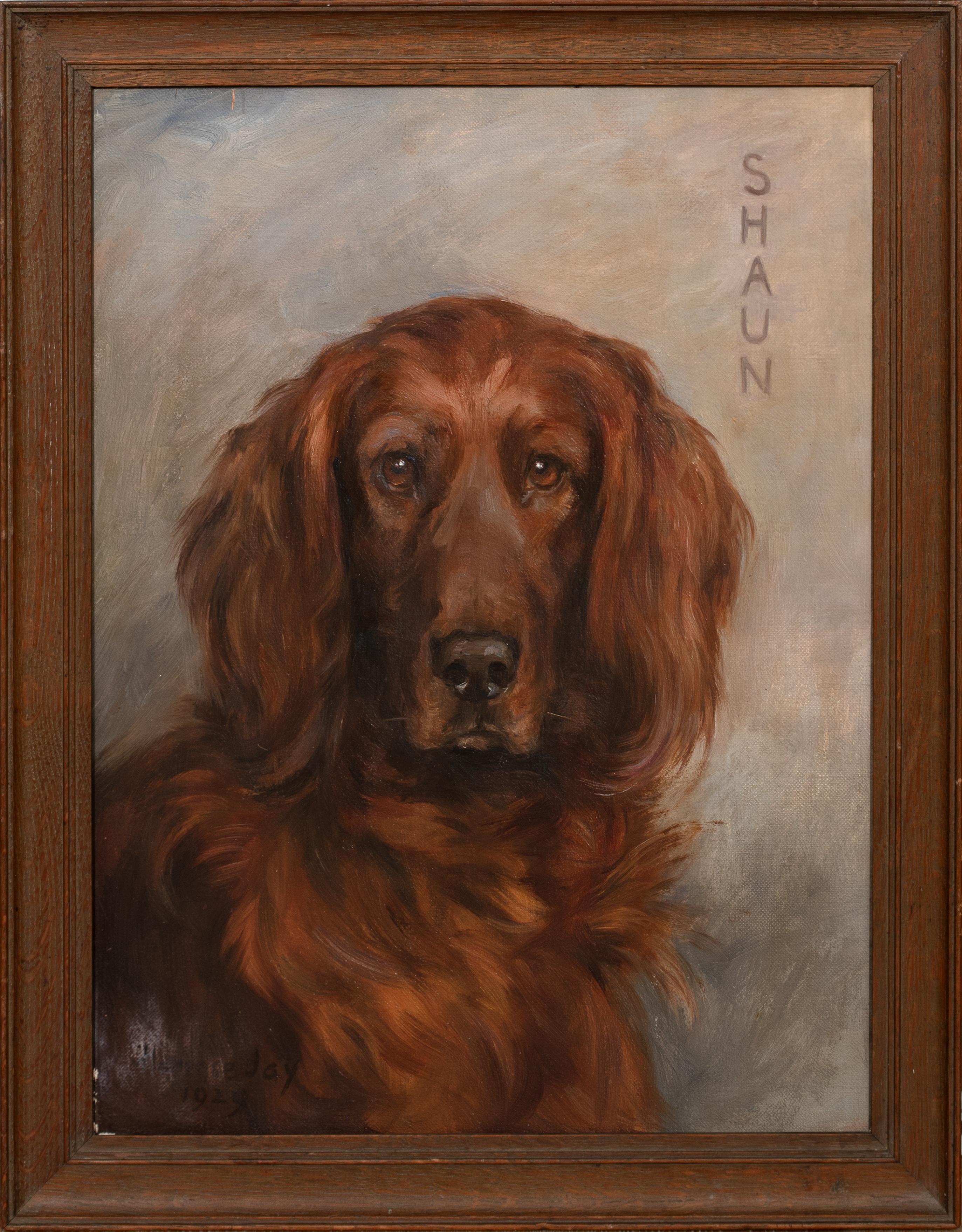 Unknown Animal Painting - Portrait of Shaun, An Irish Setter, dated 1929 by FLORENCE JAY (1876-1935)