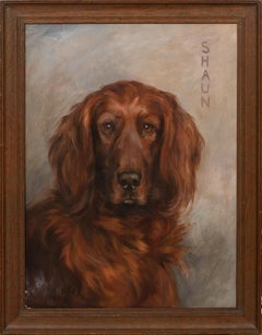 Retrato de Shaun, un Setter Irlandés, fechado en 1929  por FLORENCE JAY (1876-1935)