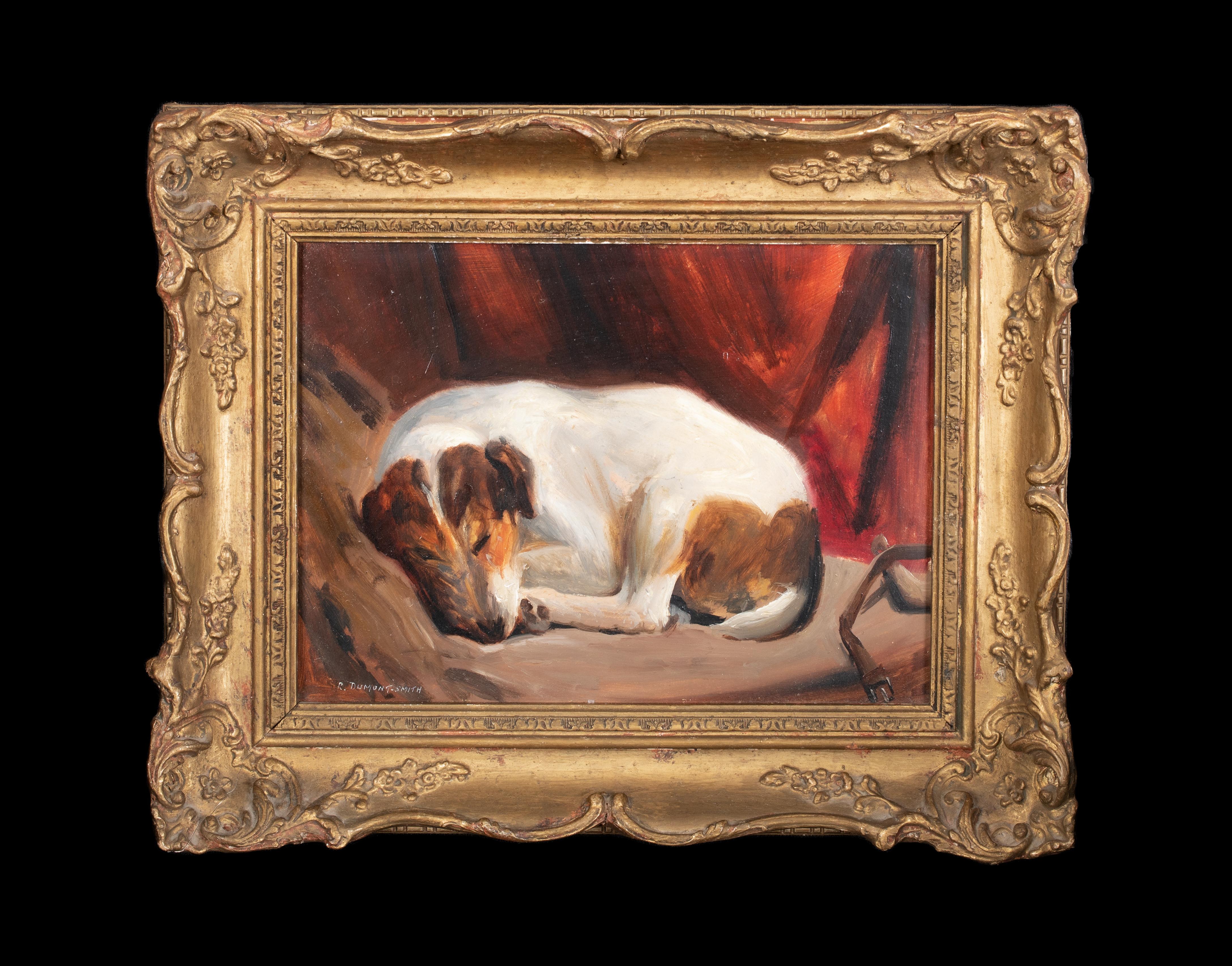 Portrait Of  Sleeping Jack Russell Terrier, circa 1900  by Robert Dumont Smith   - Painting by Unknown