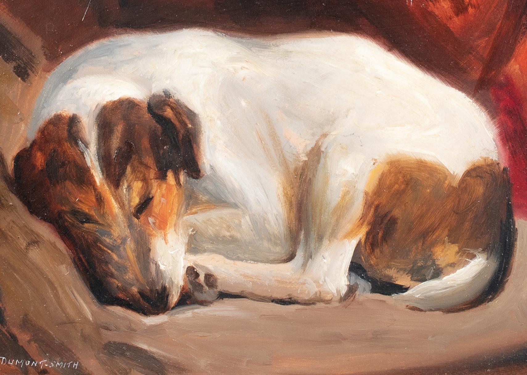 Portrait Of  Sleeping Jack Russell Terrier, circa 1900  by Robert Dumont Smith   4