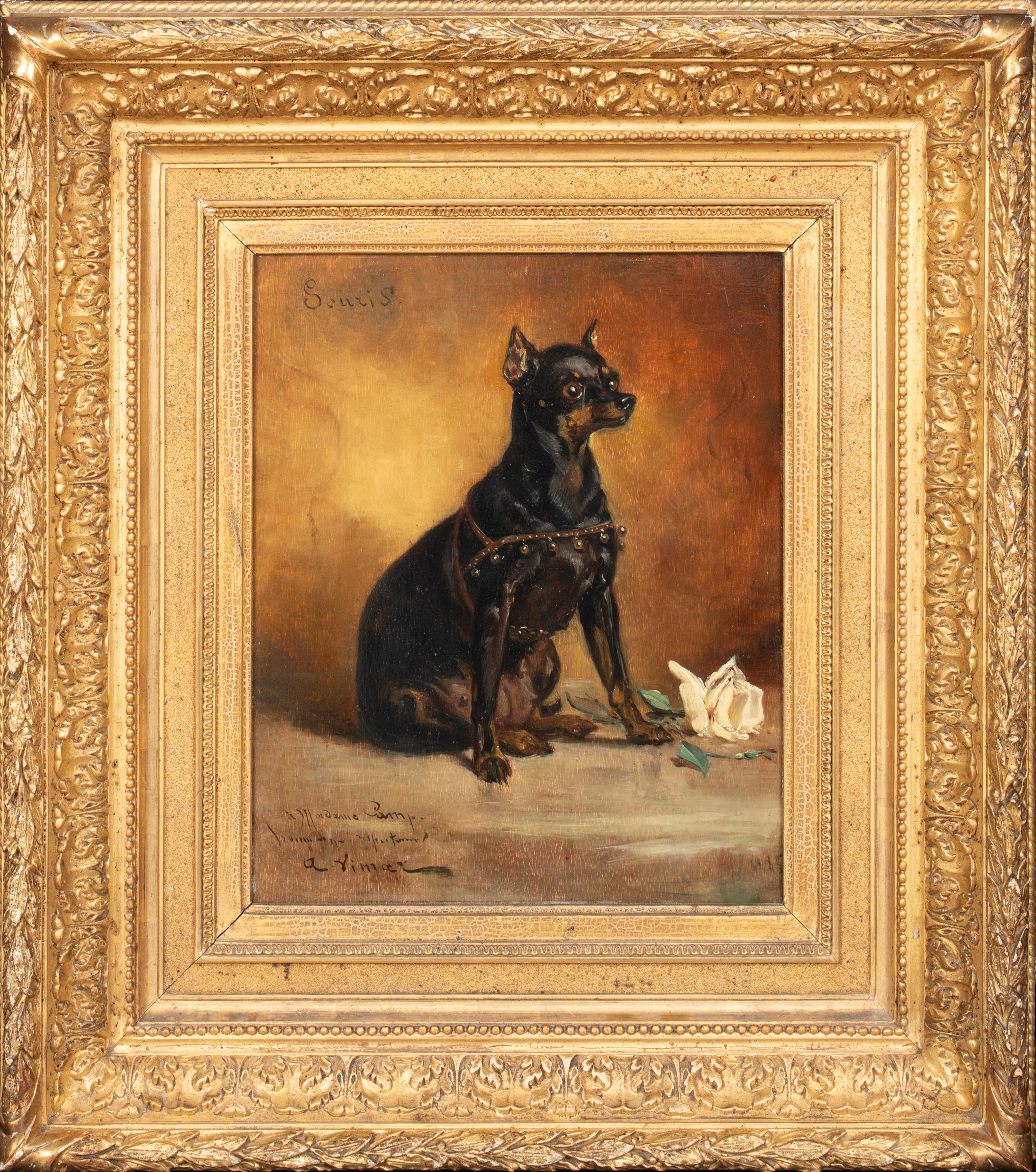 Unknown Animal Painting -  Portrait Of "Souris" A French Black Terrier, 19th Century   by AUGUSTE VIMAR 
