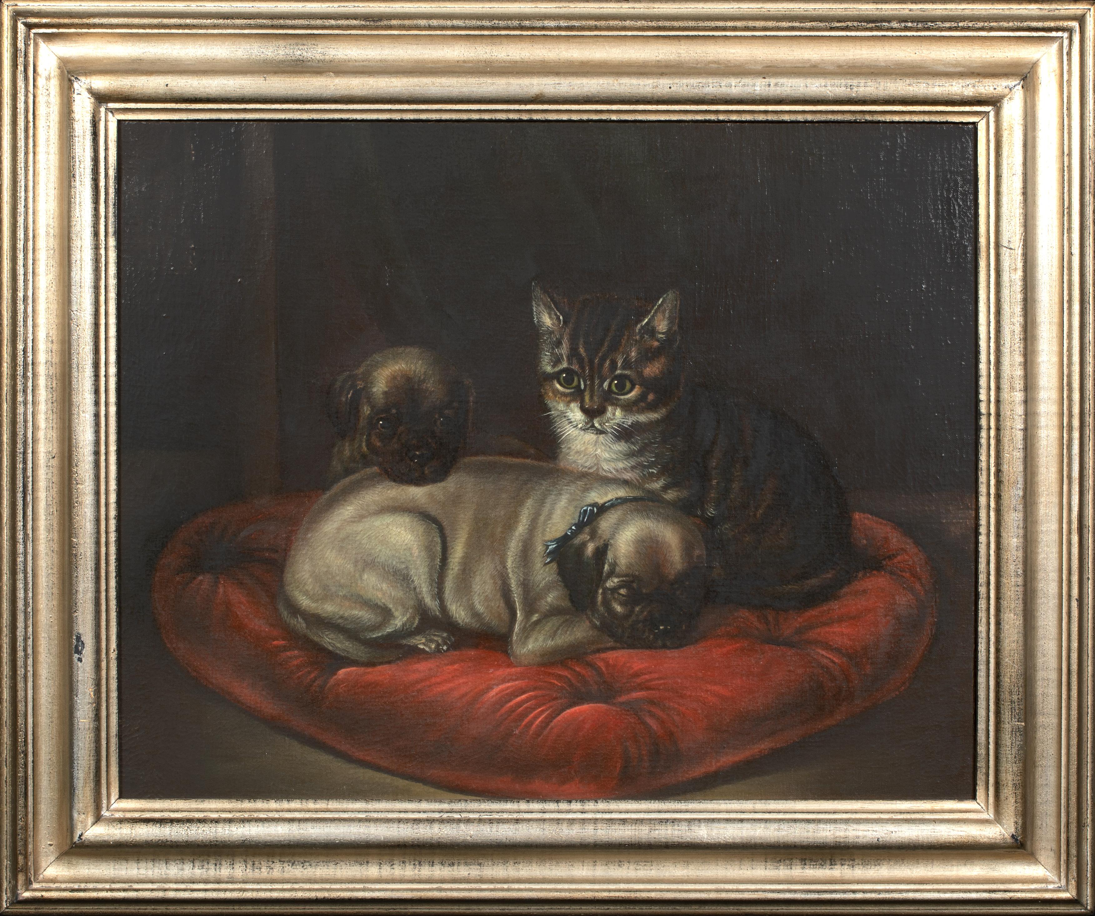 Portrait Of Tabby & Pug Puppies, 19th Century   - Painting by Unknown