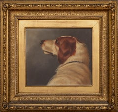 Portrait Of "Tally Ho" A Pointer / Gun Setter Dog, 19th Century