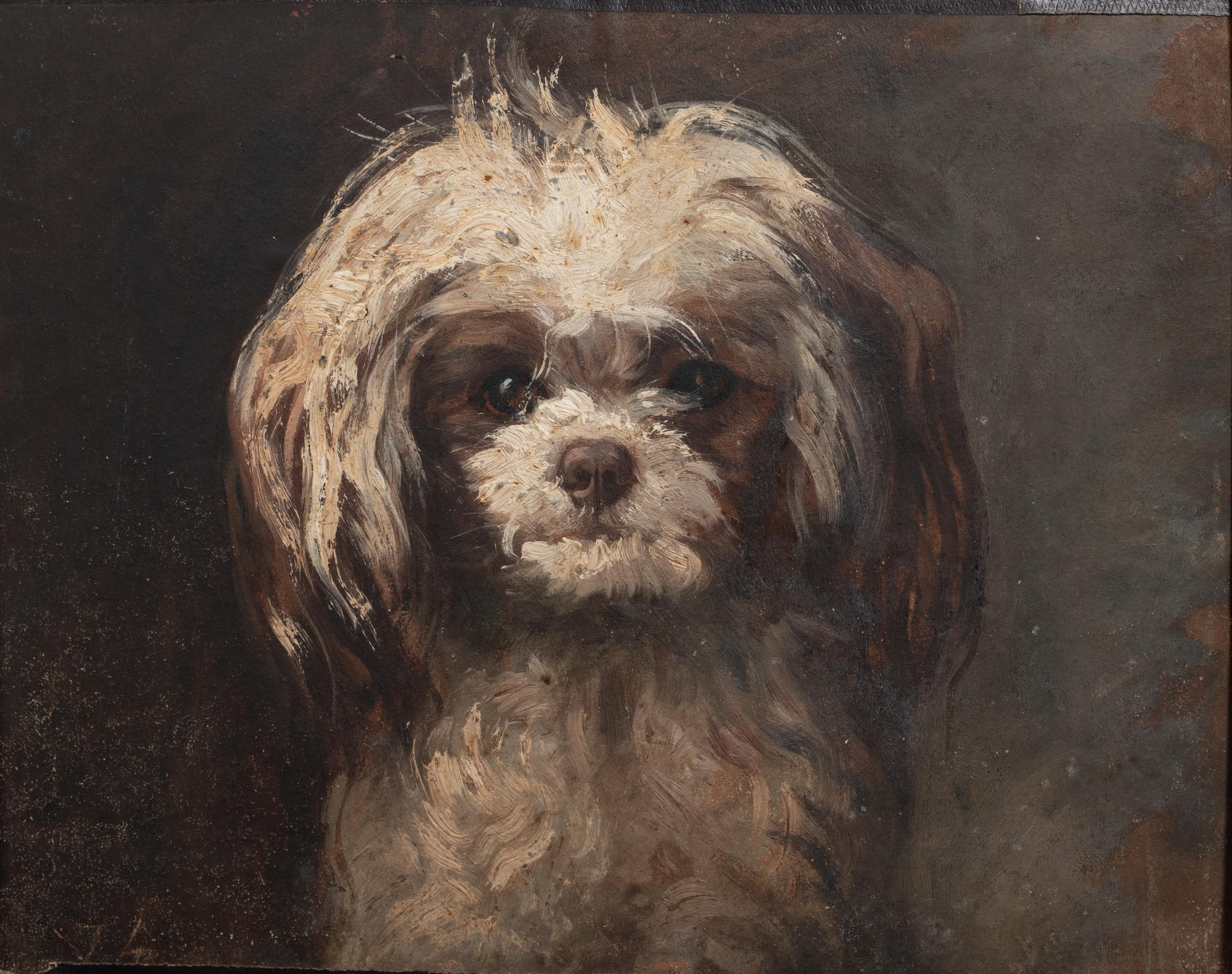 Portrait of Terrier 