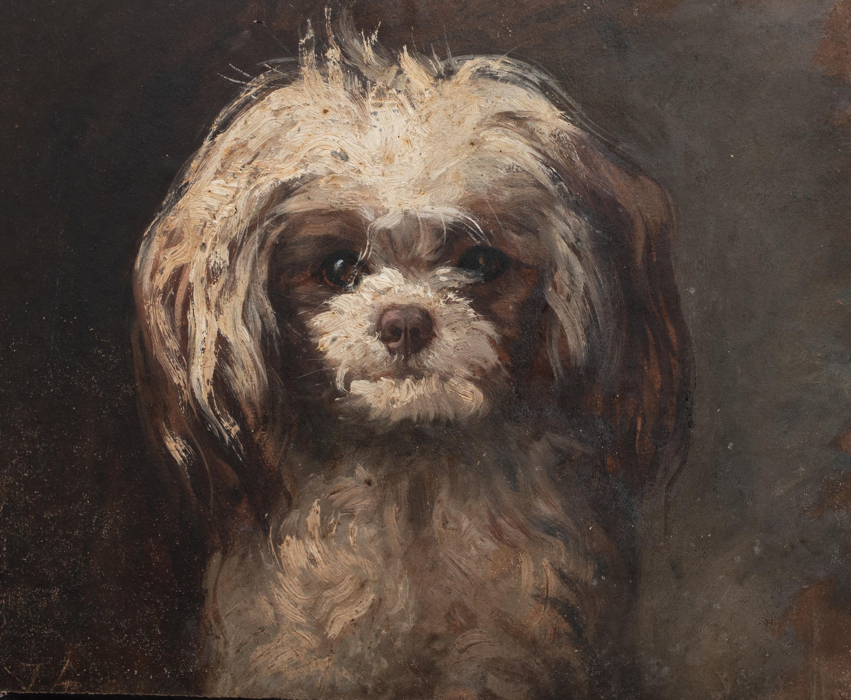 Portrait of Terrier 