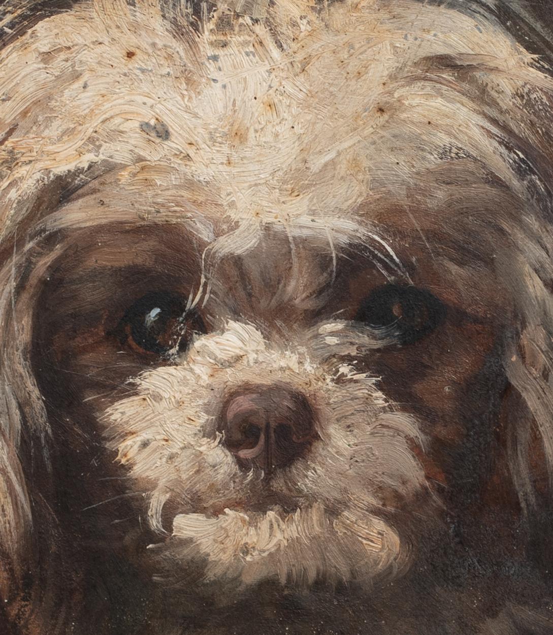 Portrait of Terrier 