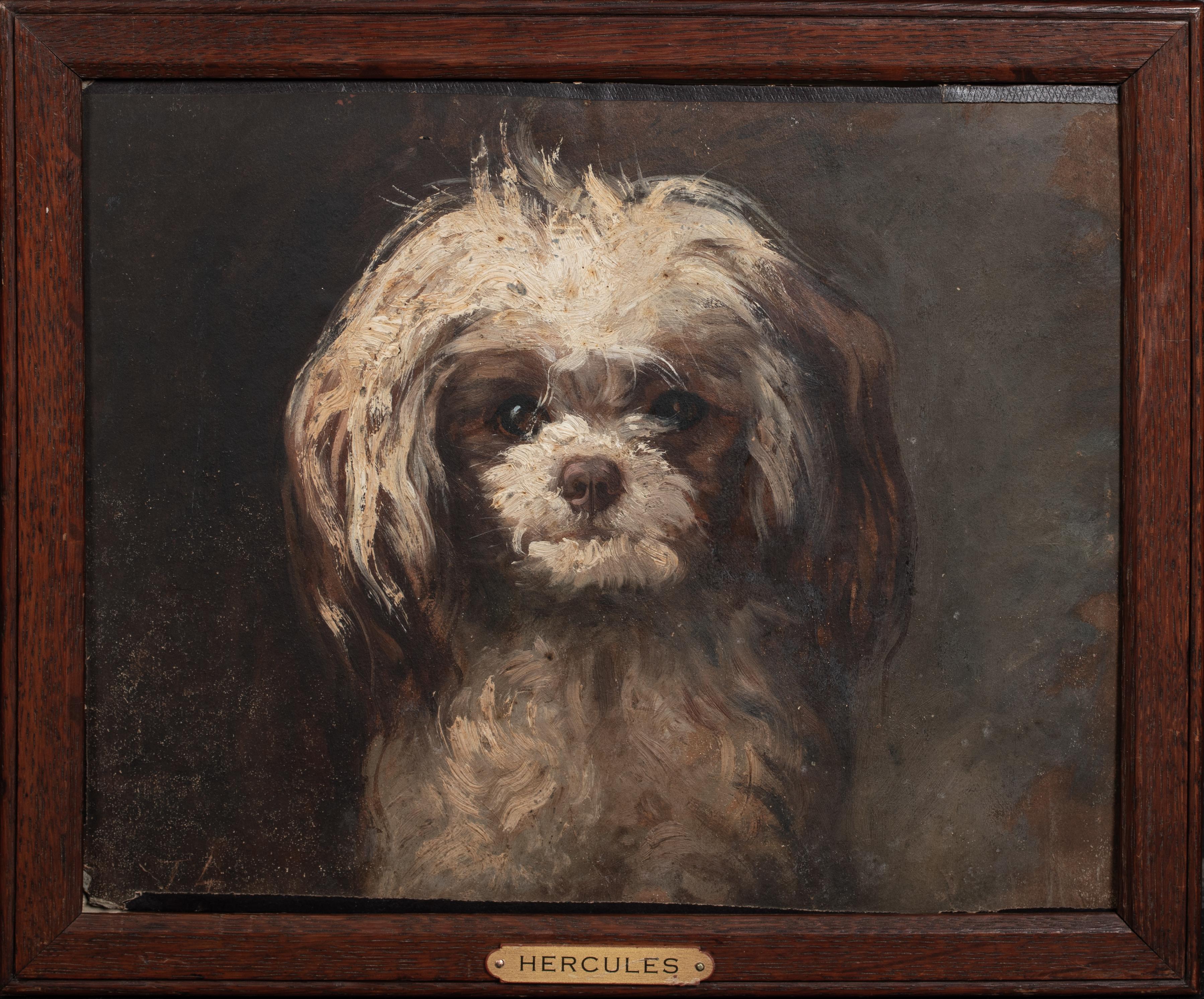 Unknown Portrait Painting - Portrait of Terrier "Hercules", 19th Century  signed JL 