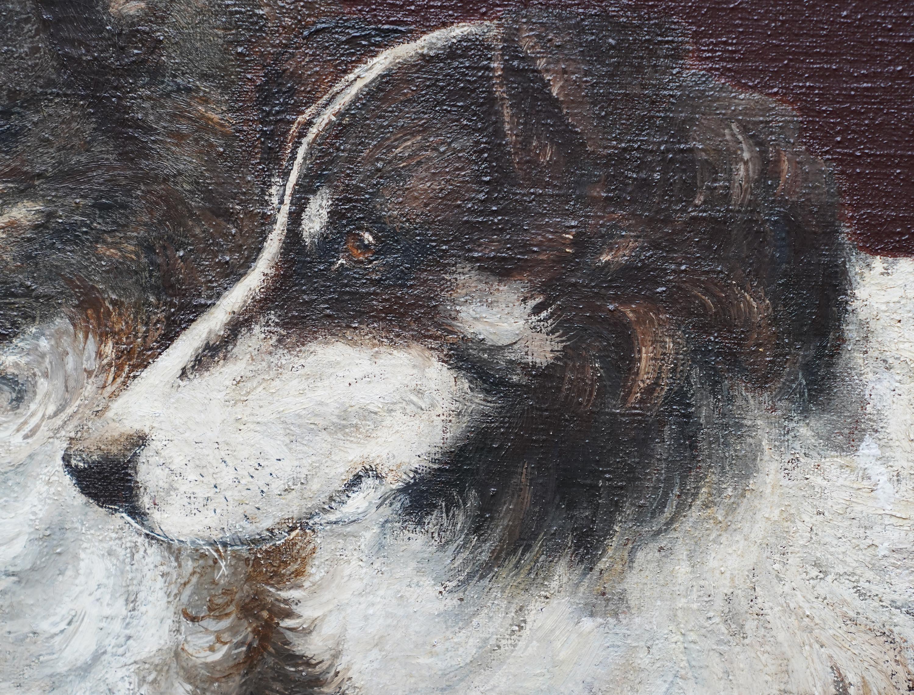 Ce double portrait britannique de deux chiens Colli est tout simplement magnifique. Peinte vers 1910, elle est indistinctement signée, mais pourrait être de K.K. Pearce. La composition représente la tête et les épaules de deux Colli noir et blanc,