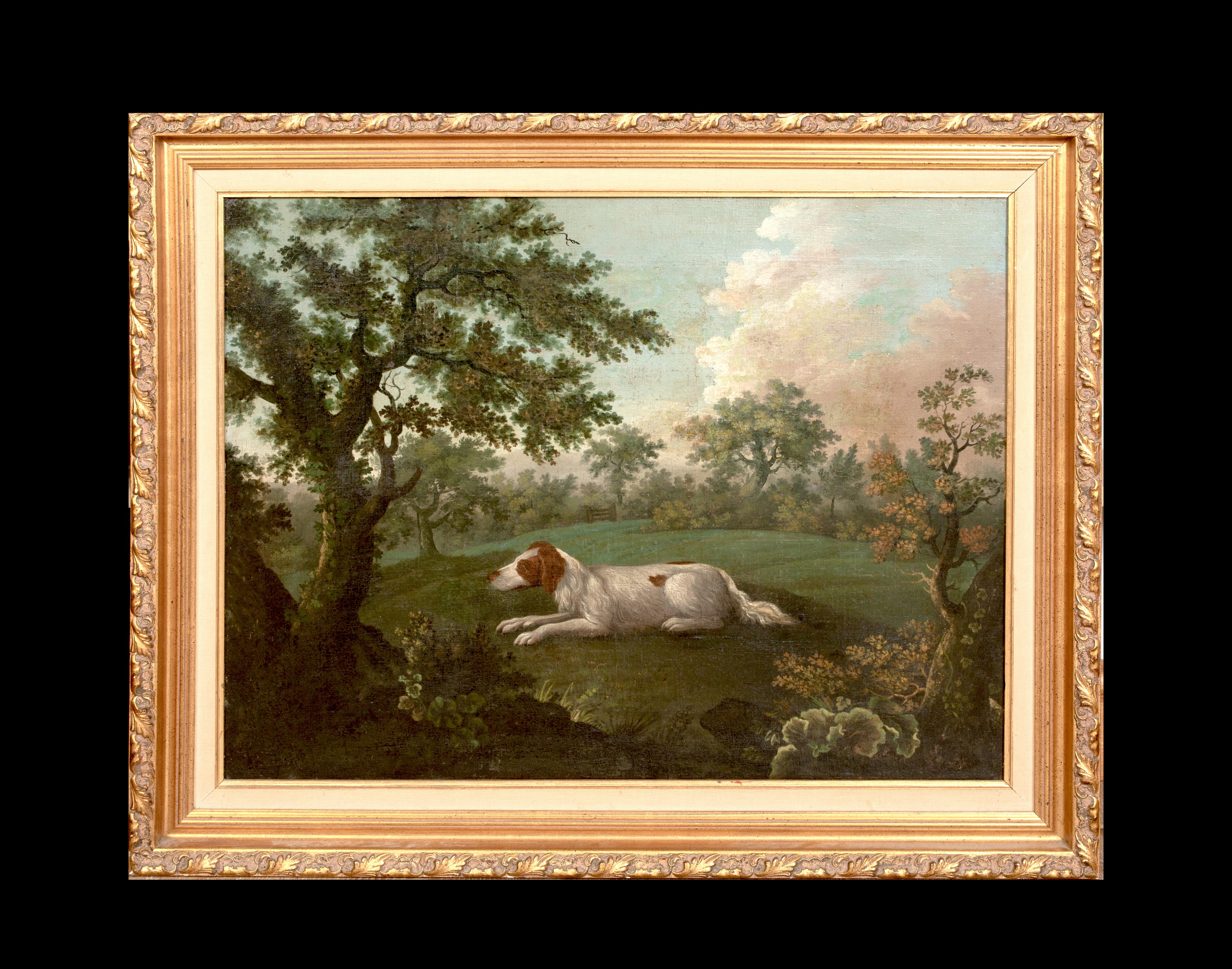 Portrait On An English Springer Spaniel, 18th Century Thomas WEAVER (1774-1843) - Painting by Unknown