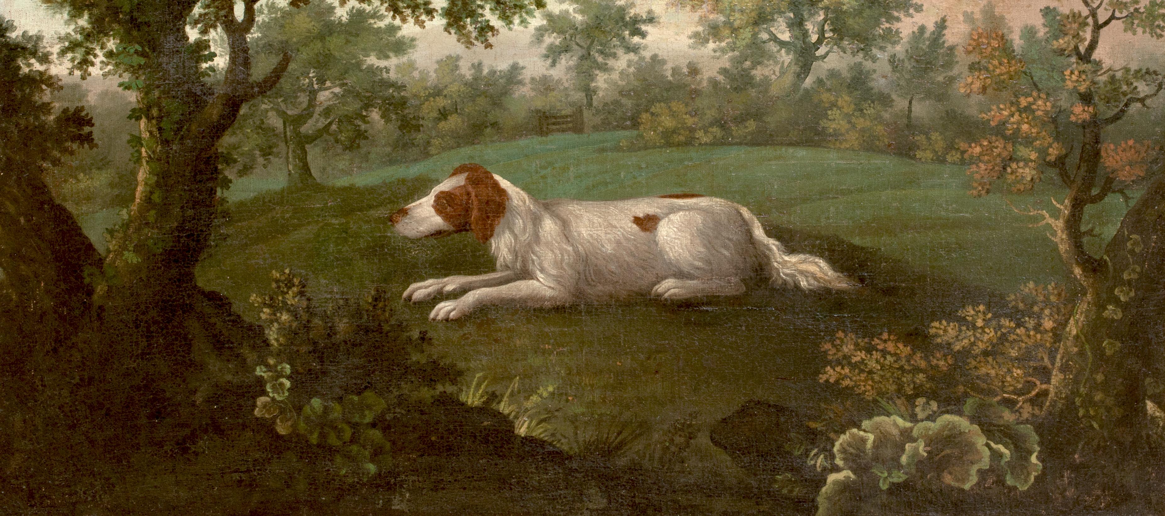 Portrait On An English Springer Spaniel, 18th Century Thomas WEAVER (1774-1843) 1