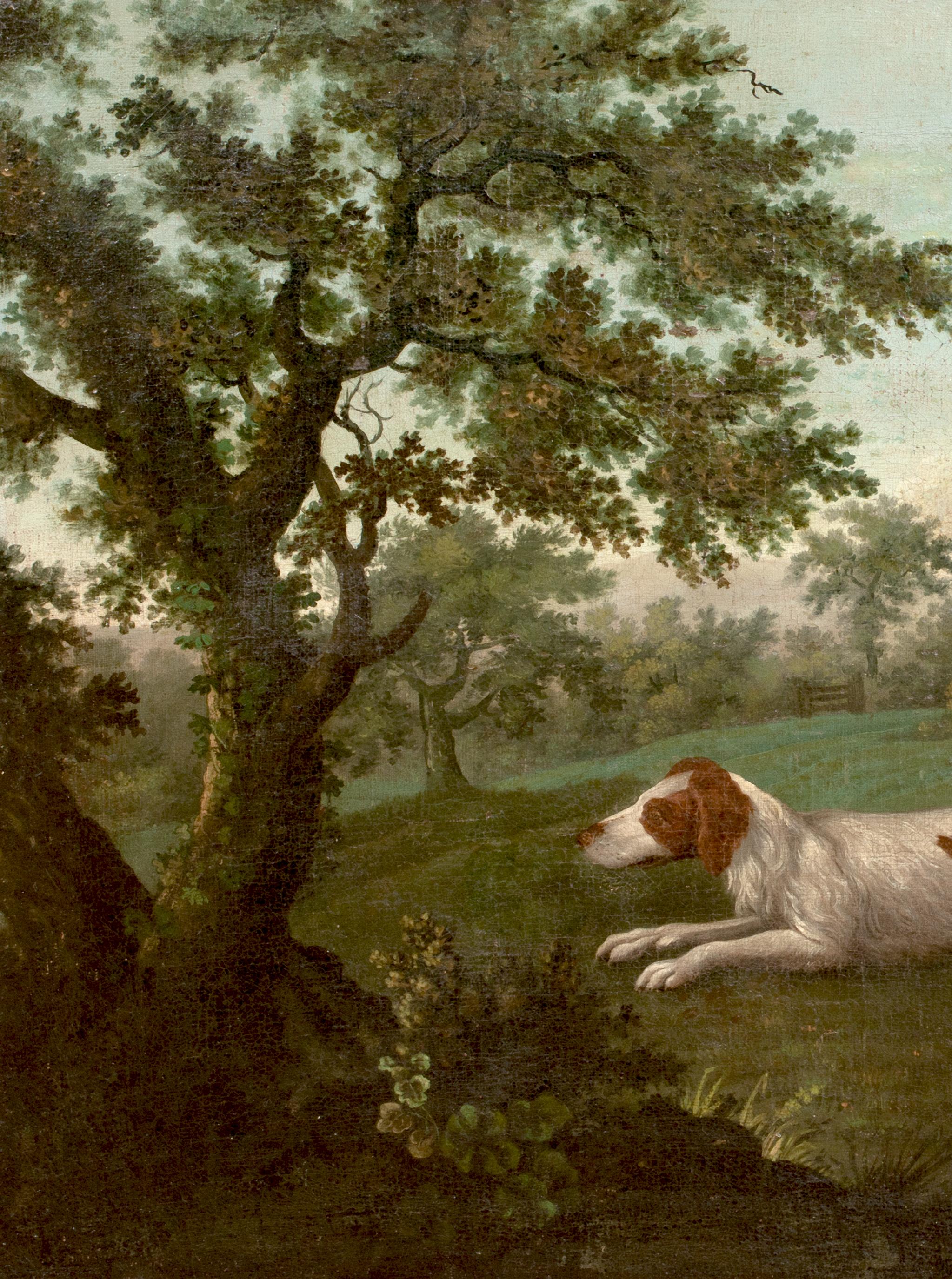 Portrait On An English Springer Spaniel, 18th Century Thomas WEAVER (1774-1843) 2