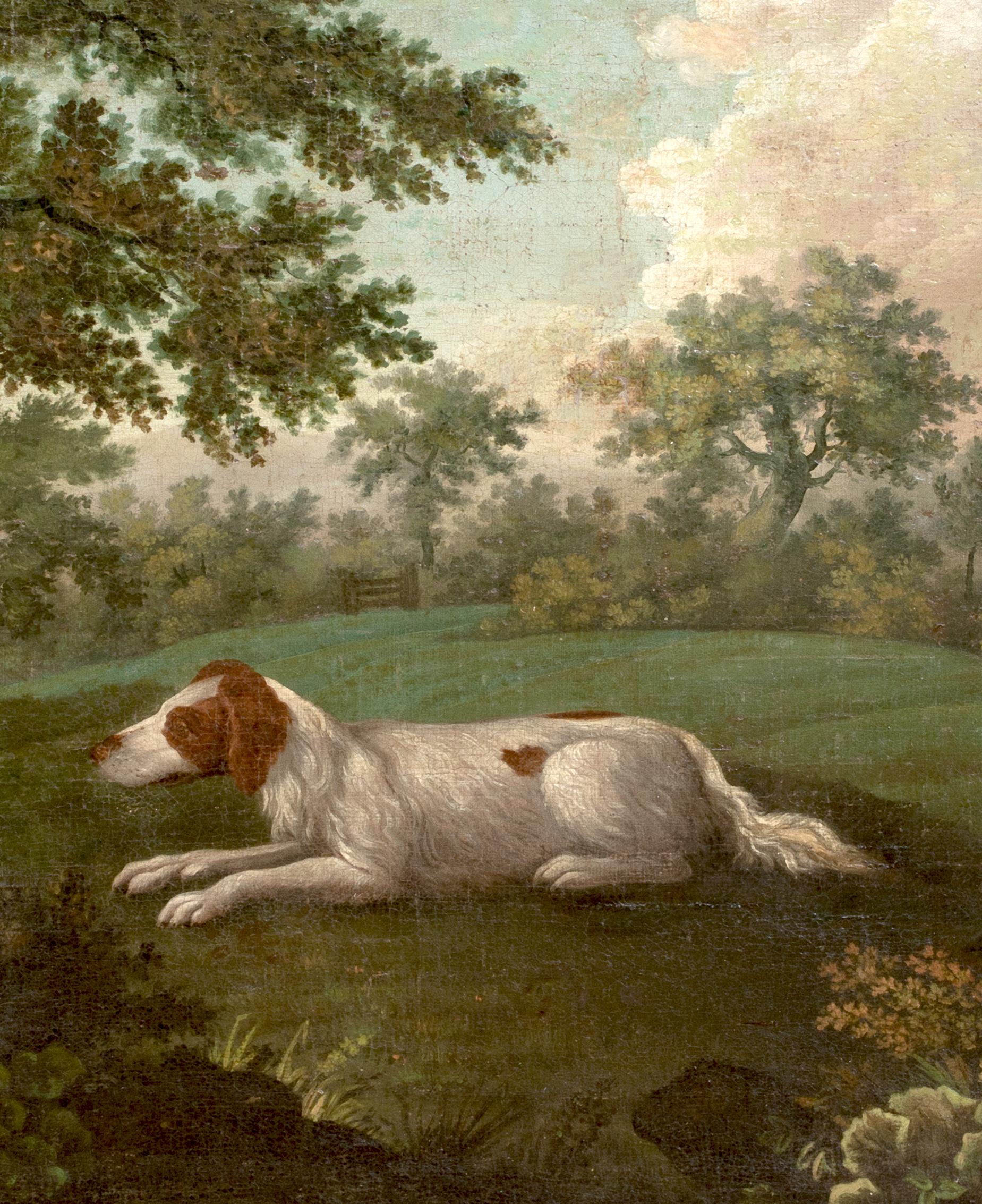 Portrait On An English Springer Spaniel, 18th Century Thomas WEAVER (1774-1843) 3