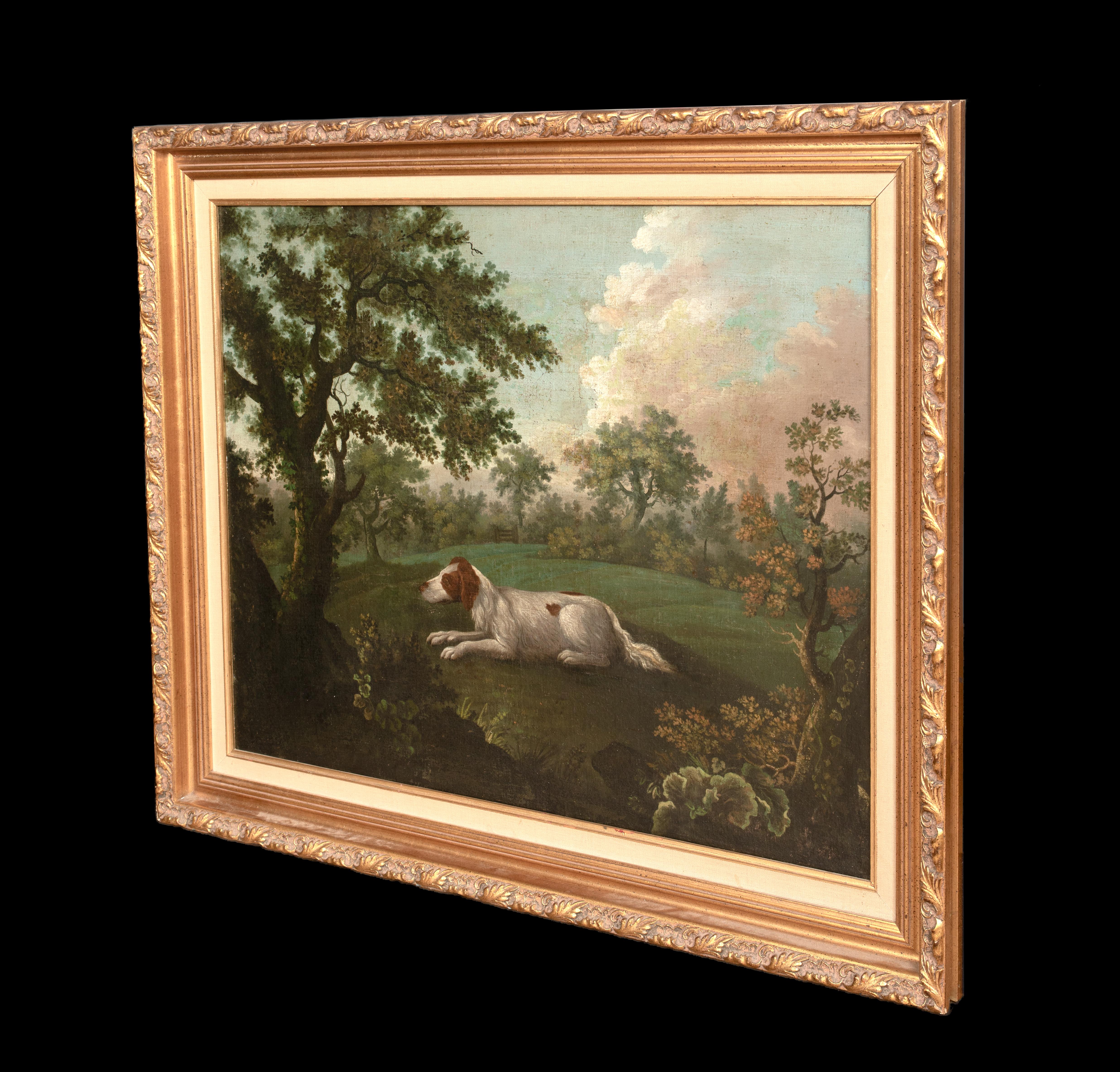 Portrait On An English Springer Spaniel, 18th Century Thomas WEAVER (1774-1843) 4