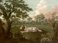 Portrait On An English Springer Spaniel, 18th Century Thomas WEAVER (1774-1843)