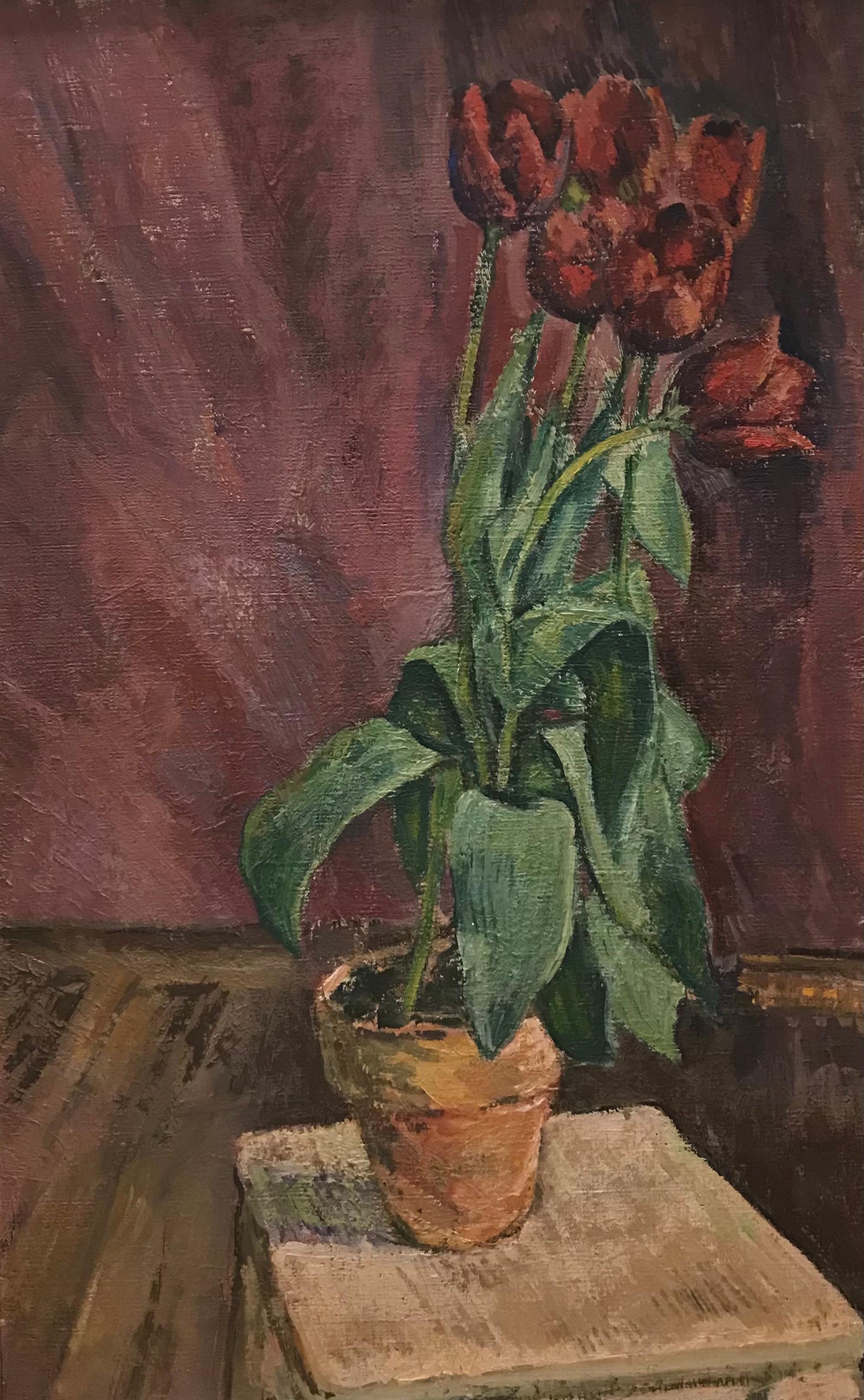 Unknown Still-Life Painting - Potted daffodils - Still life oil on canvas 