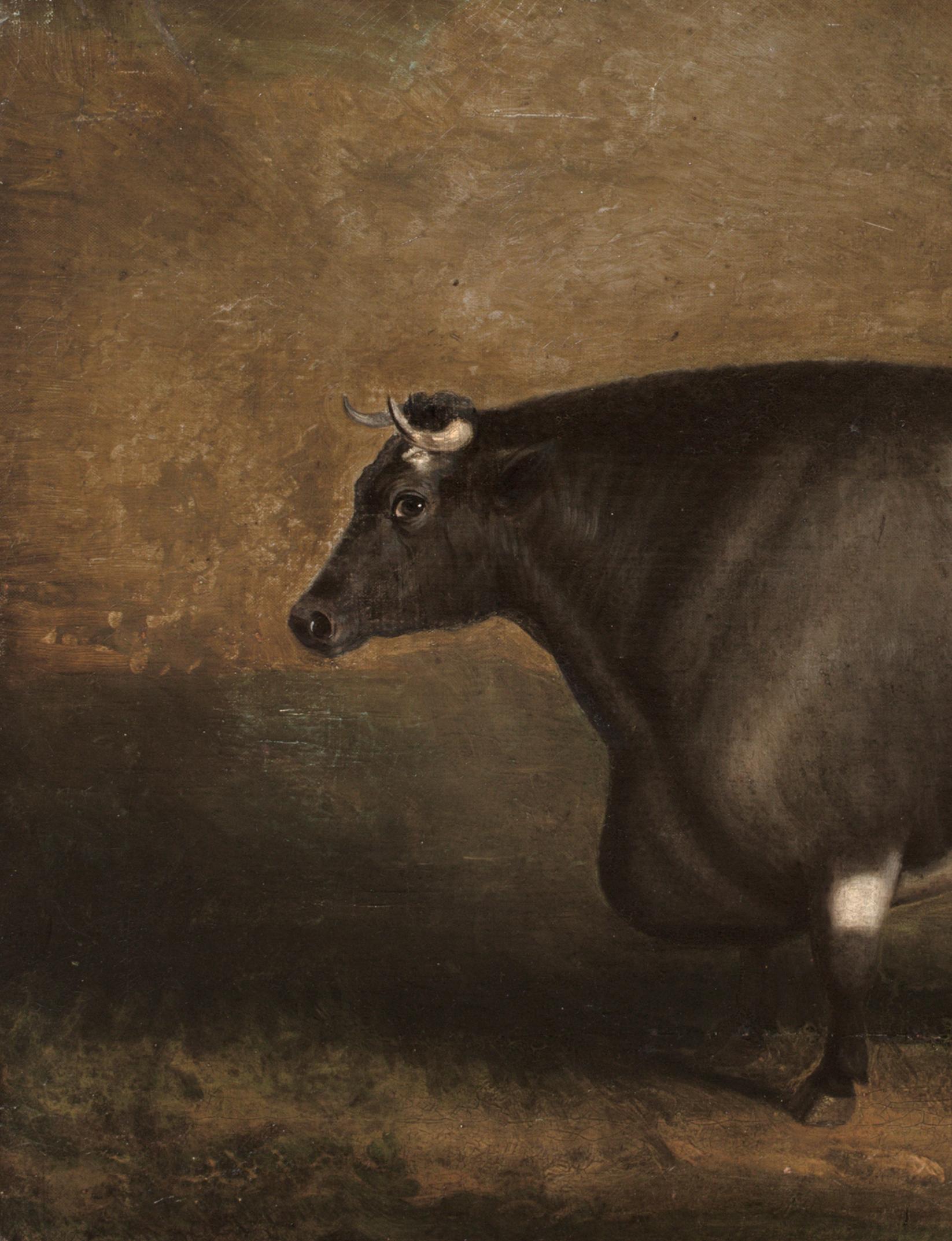 Preis Old Gloucester Bull, um 1800 William SHIELS (1785-1857) im Angebot 6