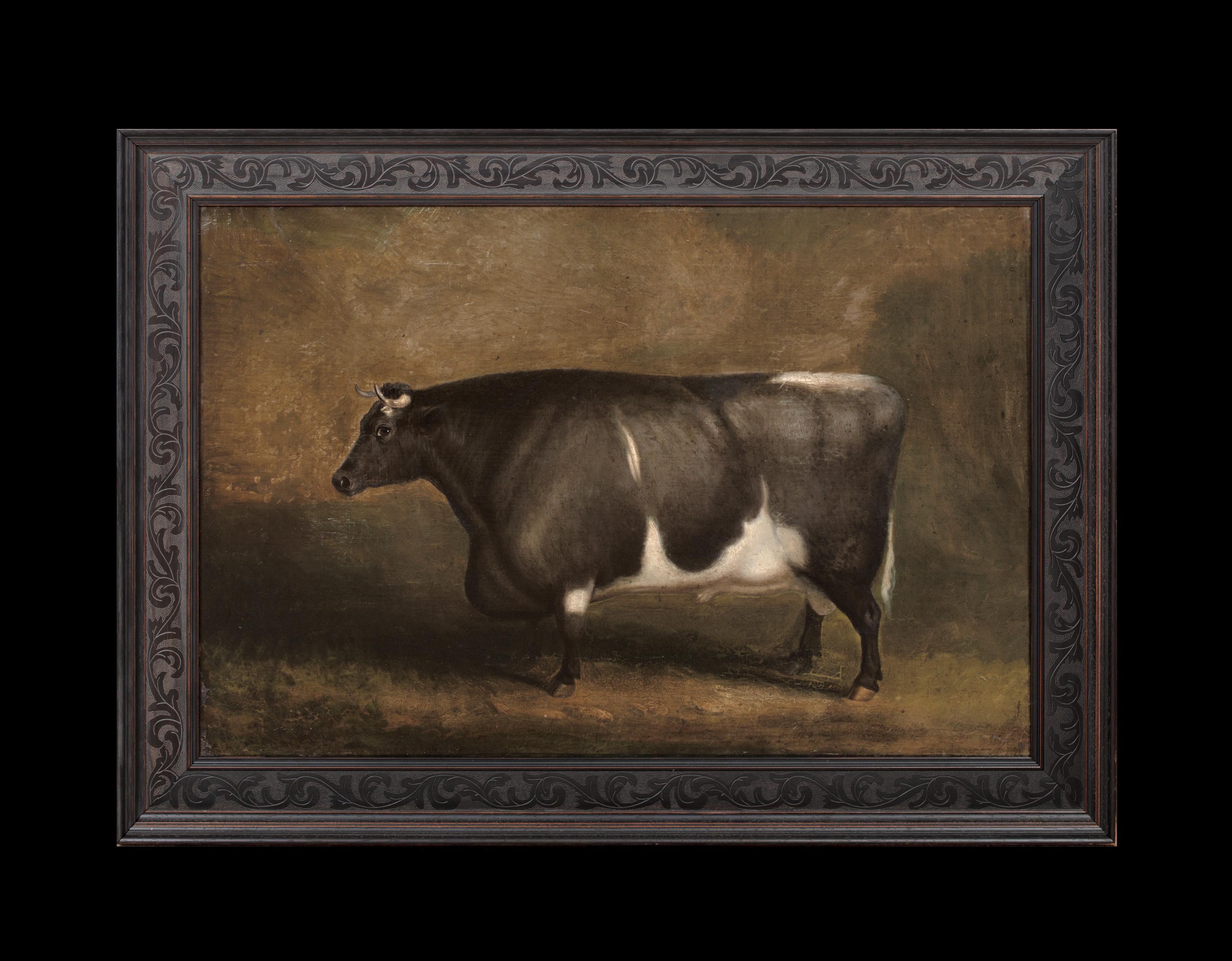 Preis Old Gloucester Bull, um 1800 William SHIELS (1785-1857) – Painting von Unknown