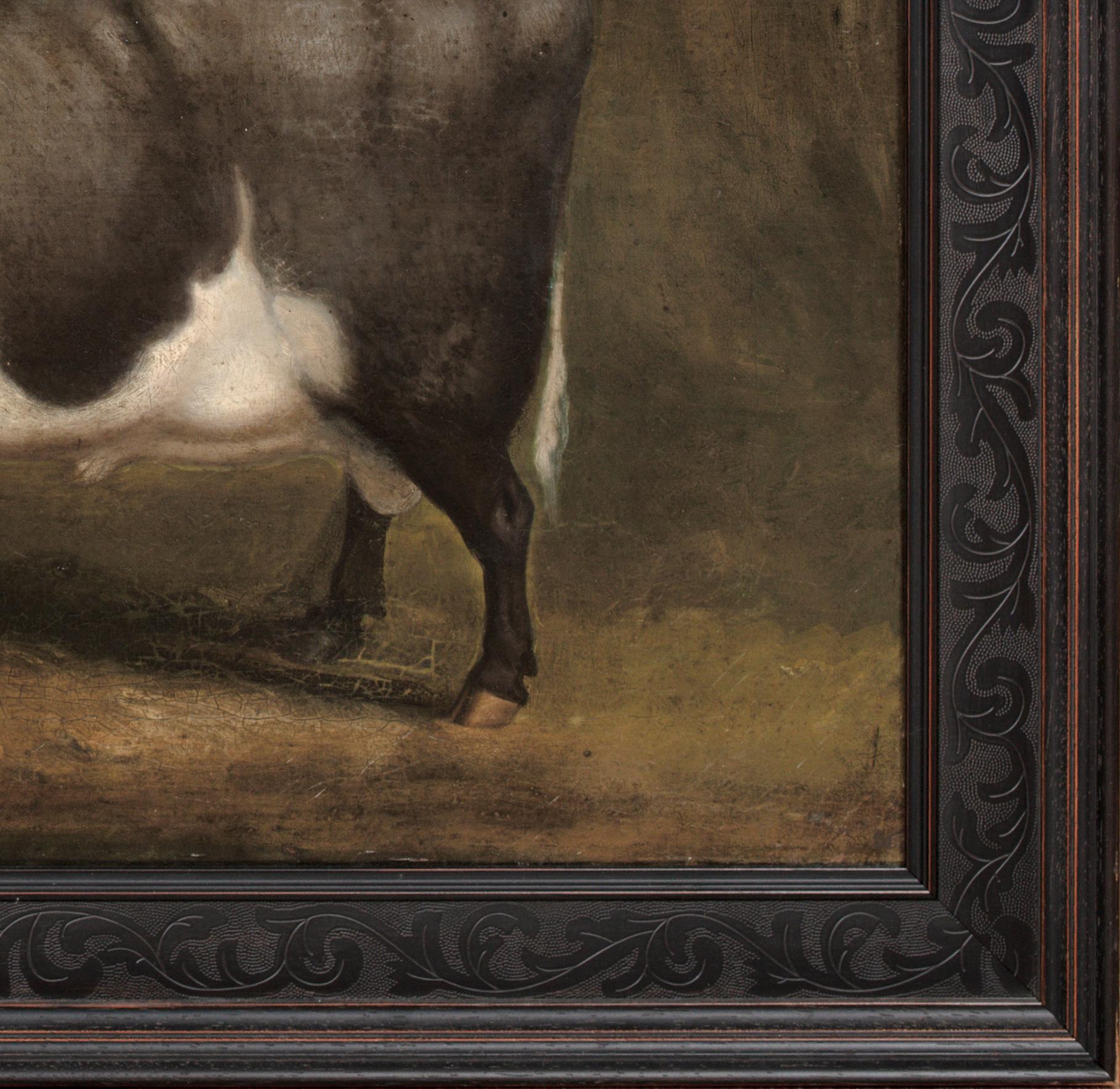 Preis Old Gloucester Bull, um 1800

William SHIELS (1785-1857)

Großes Porträt eines preisgekrönten Gloucester-Bullen um 1800, Öl auf Leinwand, William Shiels zugeschrieben. Ausgezeichnete Qualität und Zustand Seitenprofilstudie des preisgekrönten