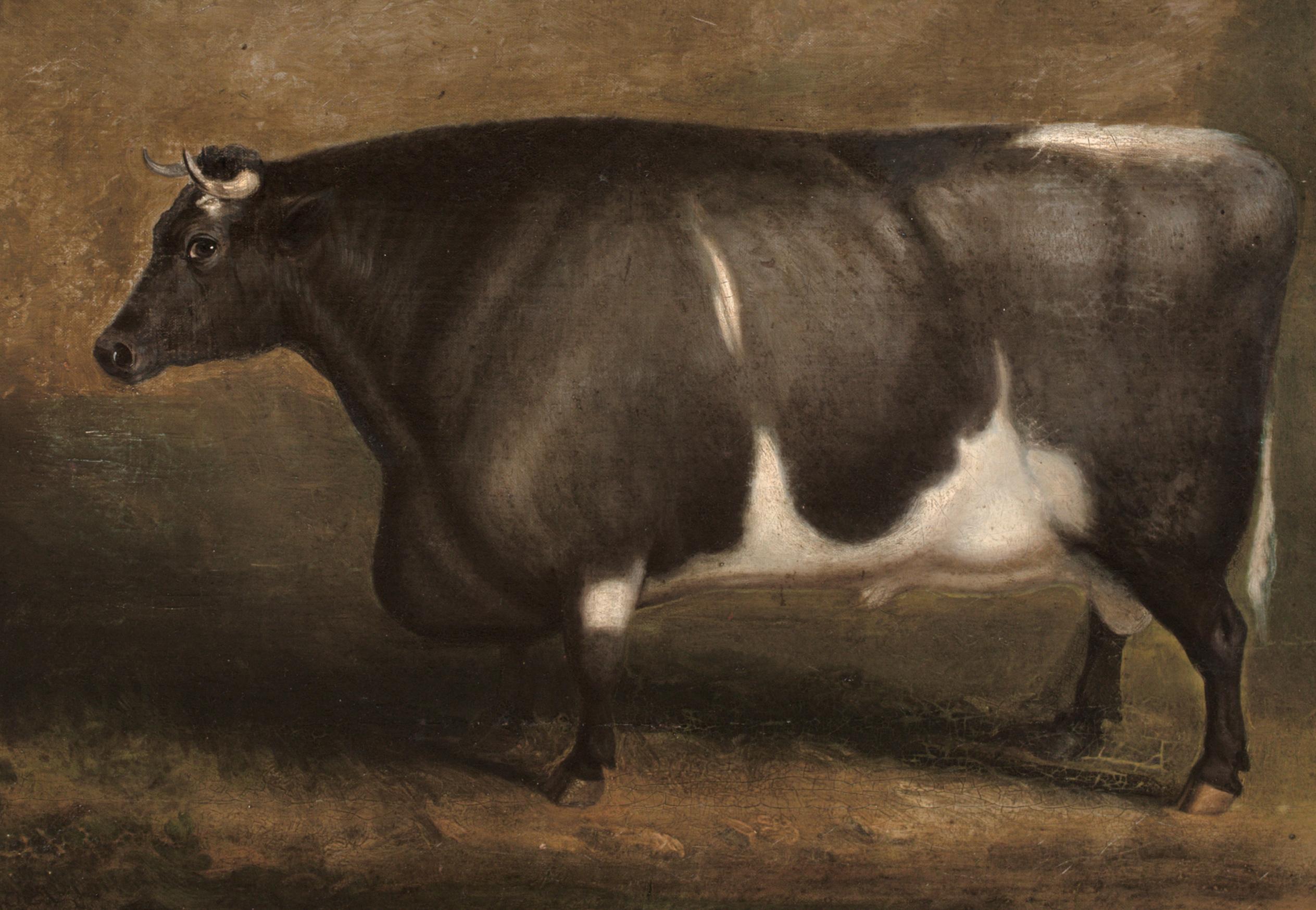 Preis Old Gloucester Bull, um 1800 William SHIELS (1785-1857) im Angebot 1