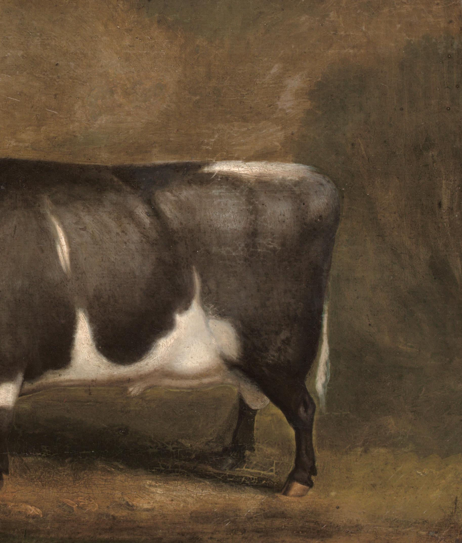 Preis Old Gloucester Bull, um 1800 William SHIELS (1785-1857) im Angebot 2