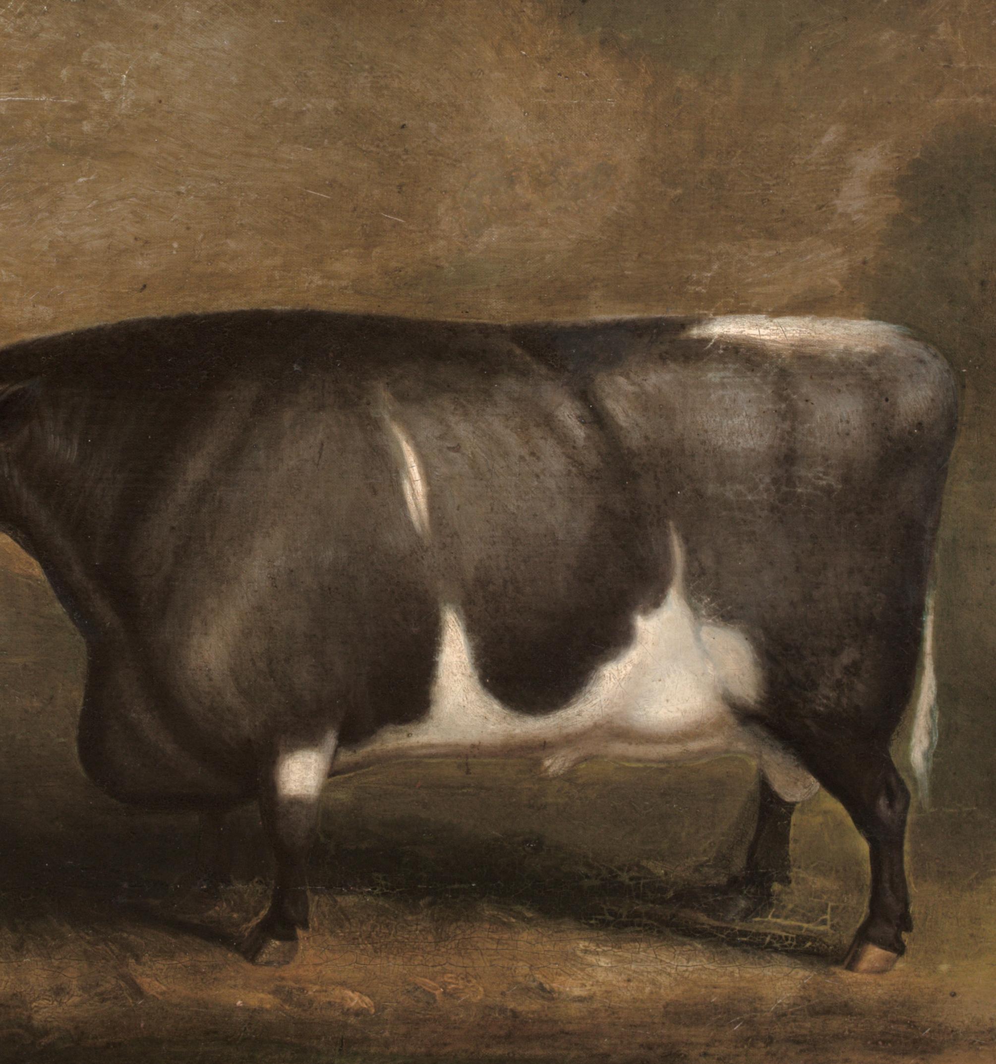 Preis Old Gloucester Bull, um 1800 William SHIELS (1785-1857) im Angebot 3