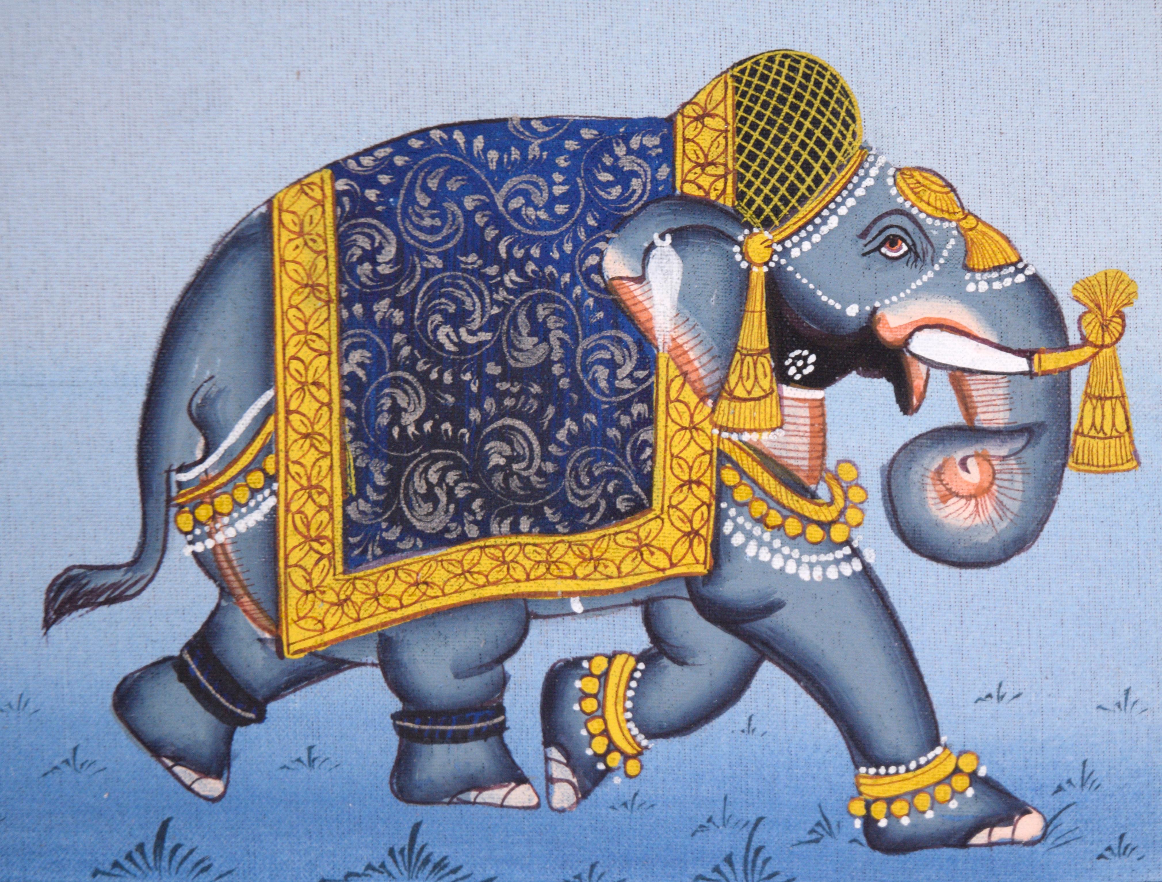 Processione di animali reali indiani 1