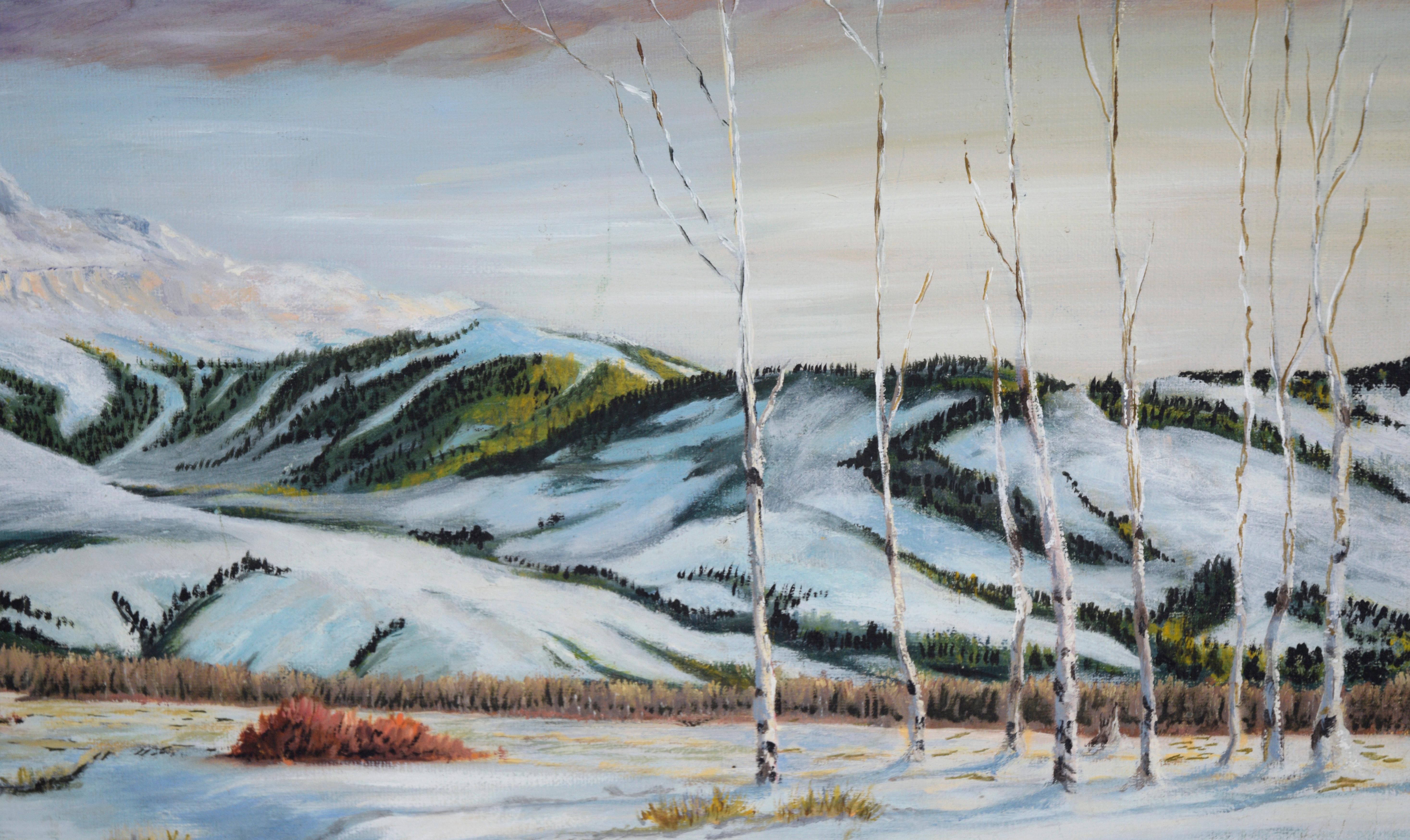 paisaje de montañas nevadas