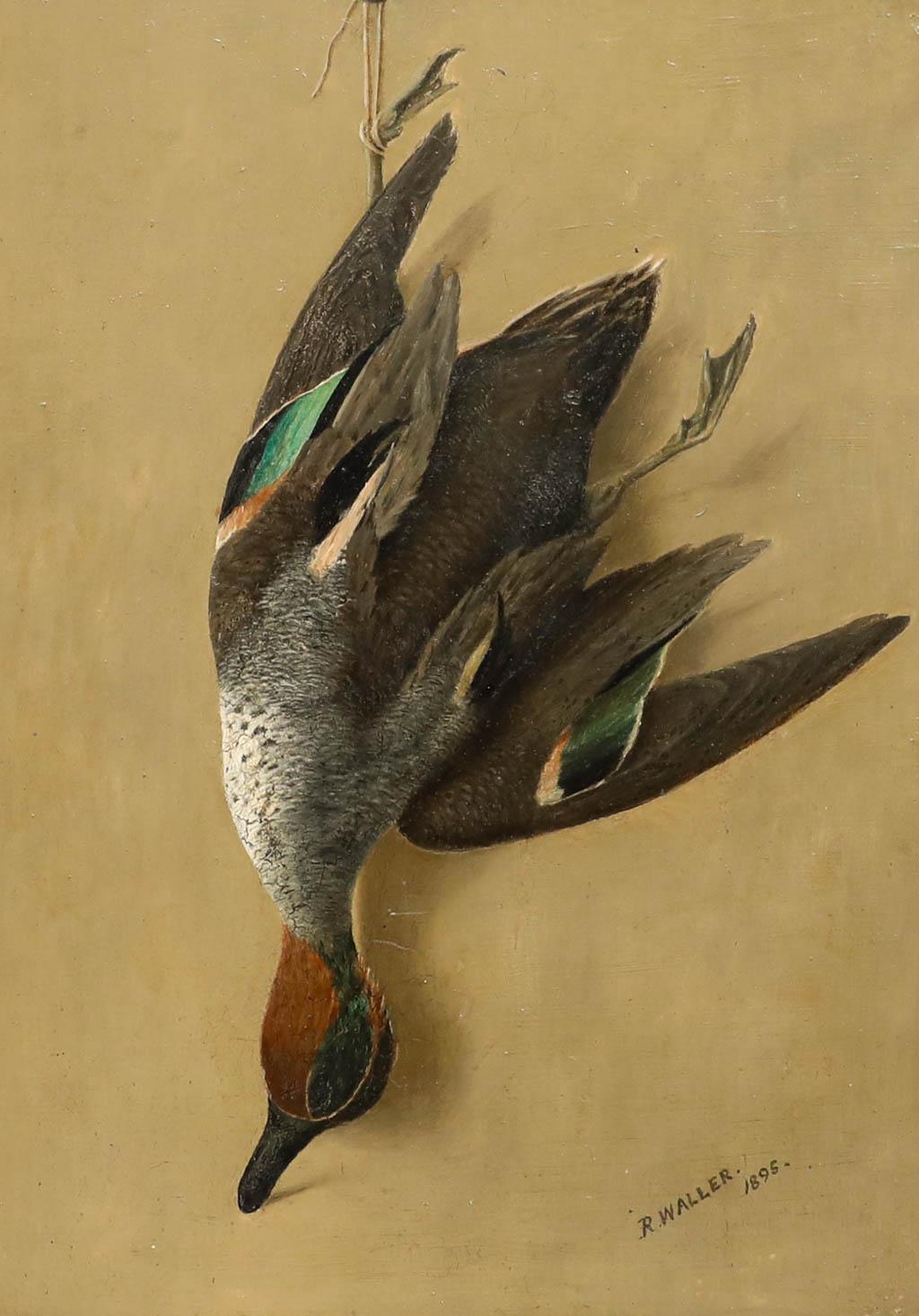 R. Waller - Huile encadrée de 1895, sarcelle d'hiver - Painting de Unknown
