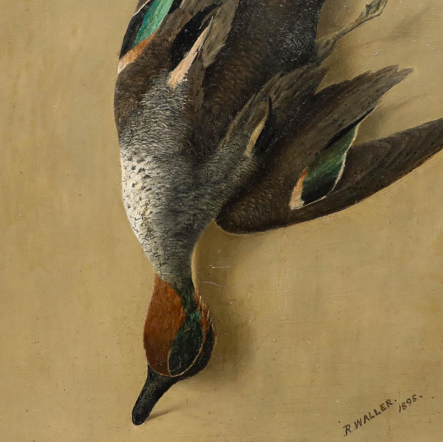 Une étude à l'huile finement détaillée d'une sarcelle à ailes vertes morte, suspendue à un clou. Signé et daté en bas à droite. Bien présenté dans un cadre orné à effet doré. Sur le panneau.