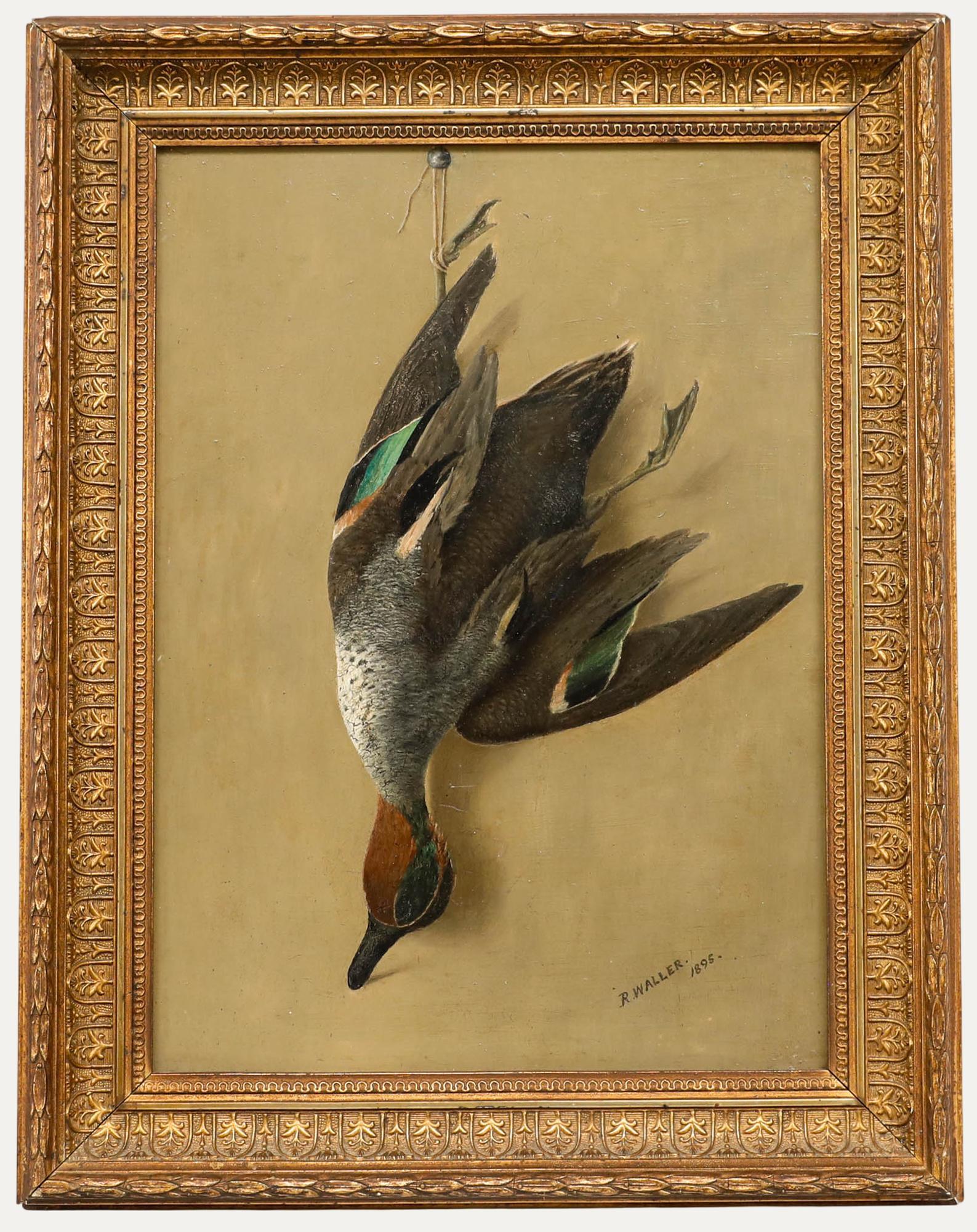 Still-Life Painting Unknown - R. Waller - Huile encadrée de 1895, sarcelle d'hiver